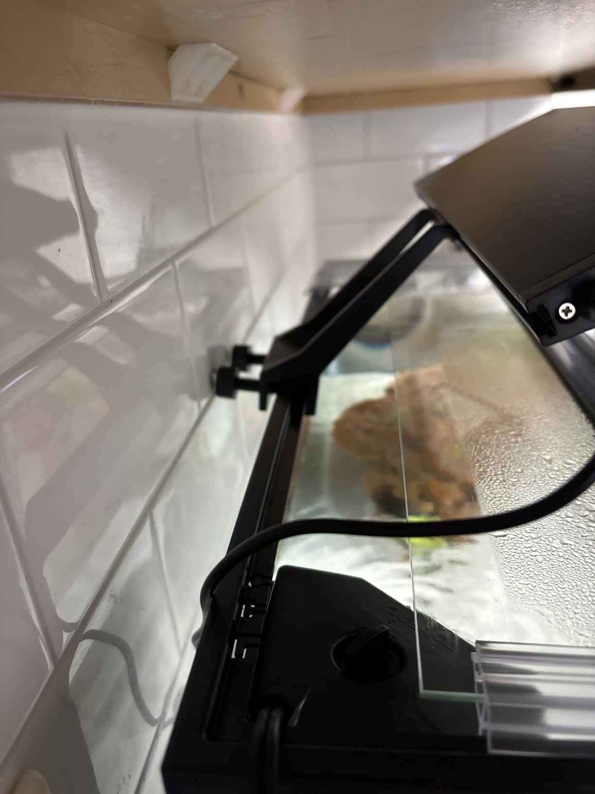hygger Clip On 24/7 Lighting Aquarium LED Light, Sunrise-Daylight-Moonlight and DIY Mode, Adjustable Timer/Brightness Fish Tank Light with 7 Colors for Planted Tank (14W for 12~20in Tank) customer photo 2