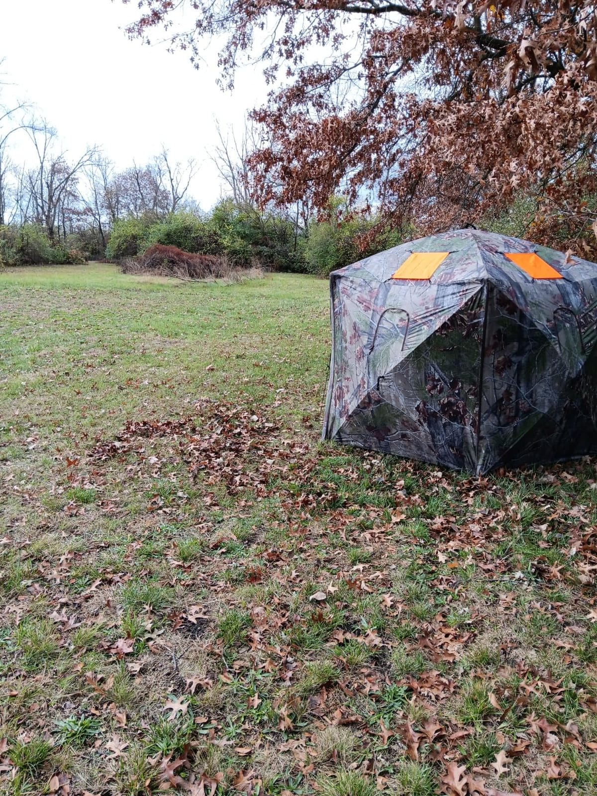 Barronett Blinds Feather Five, Portable Hunting Blind, Huge Interior, Lightweight, 4-Person, Bloodtrail Backwoods, 72