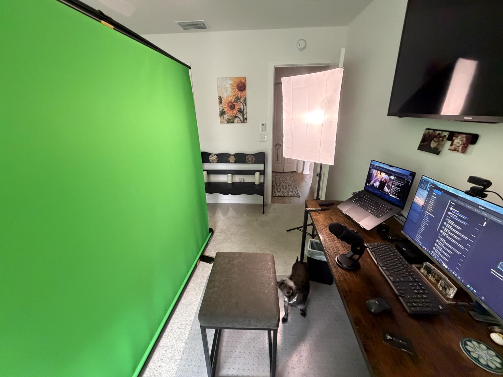 MOUNTDOG Softbox Lighting Kit, 2x19.7