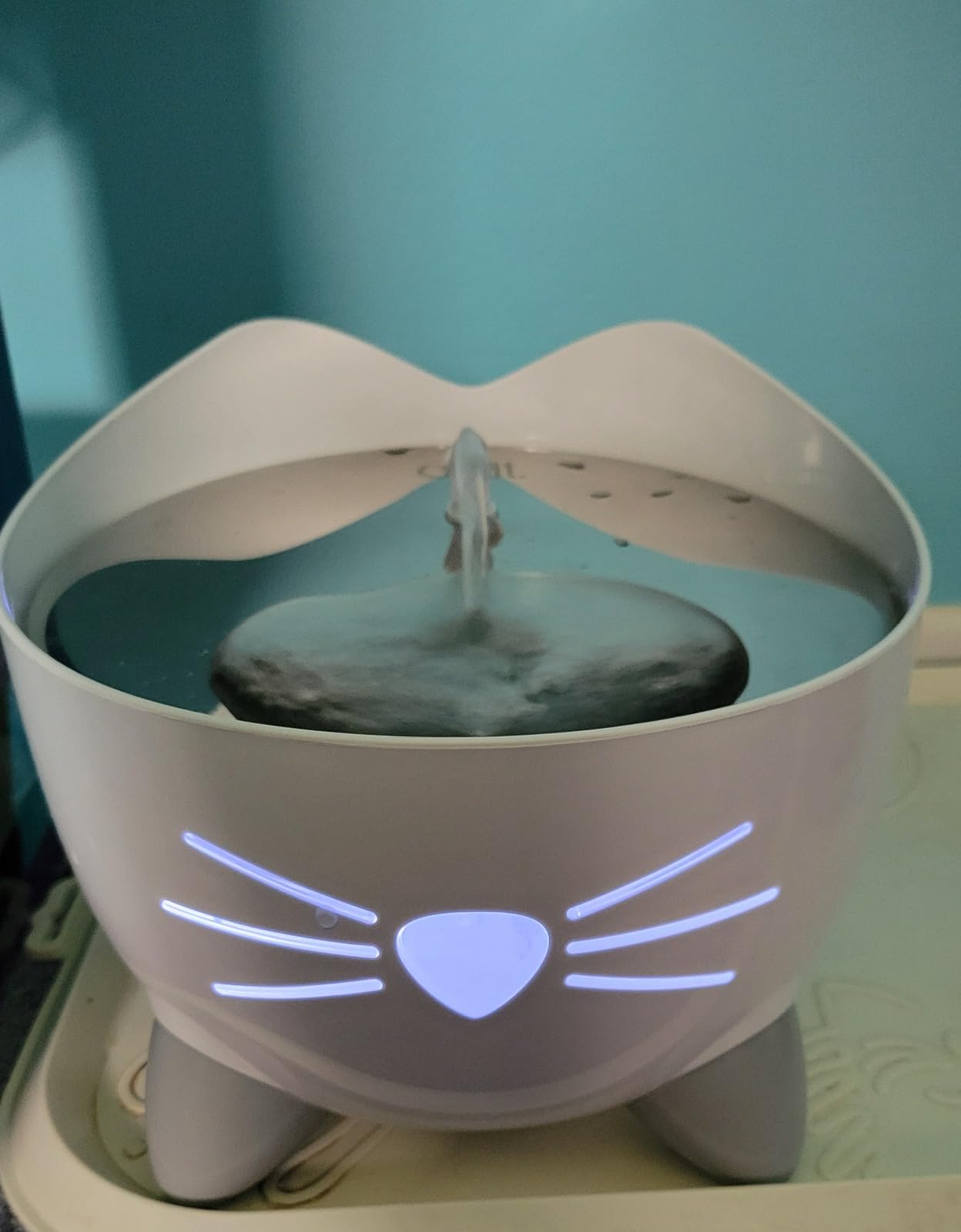 Catit PIXI Drinking Fountain, Stainless Steel | Cat Water Fountain with Triple Filter and Ergonomic Drinking Options customer photo 2