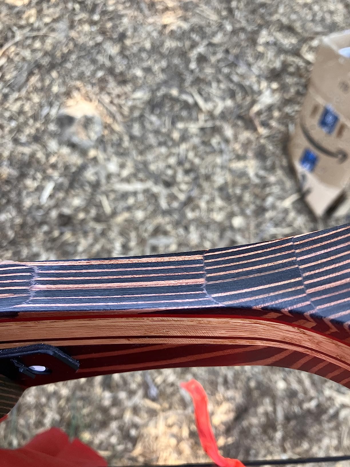 Deerseeker Archery 62