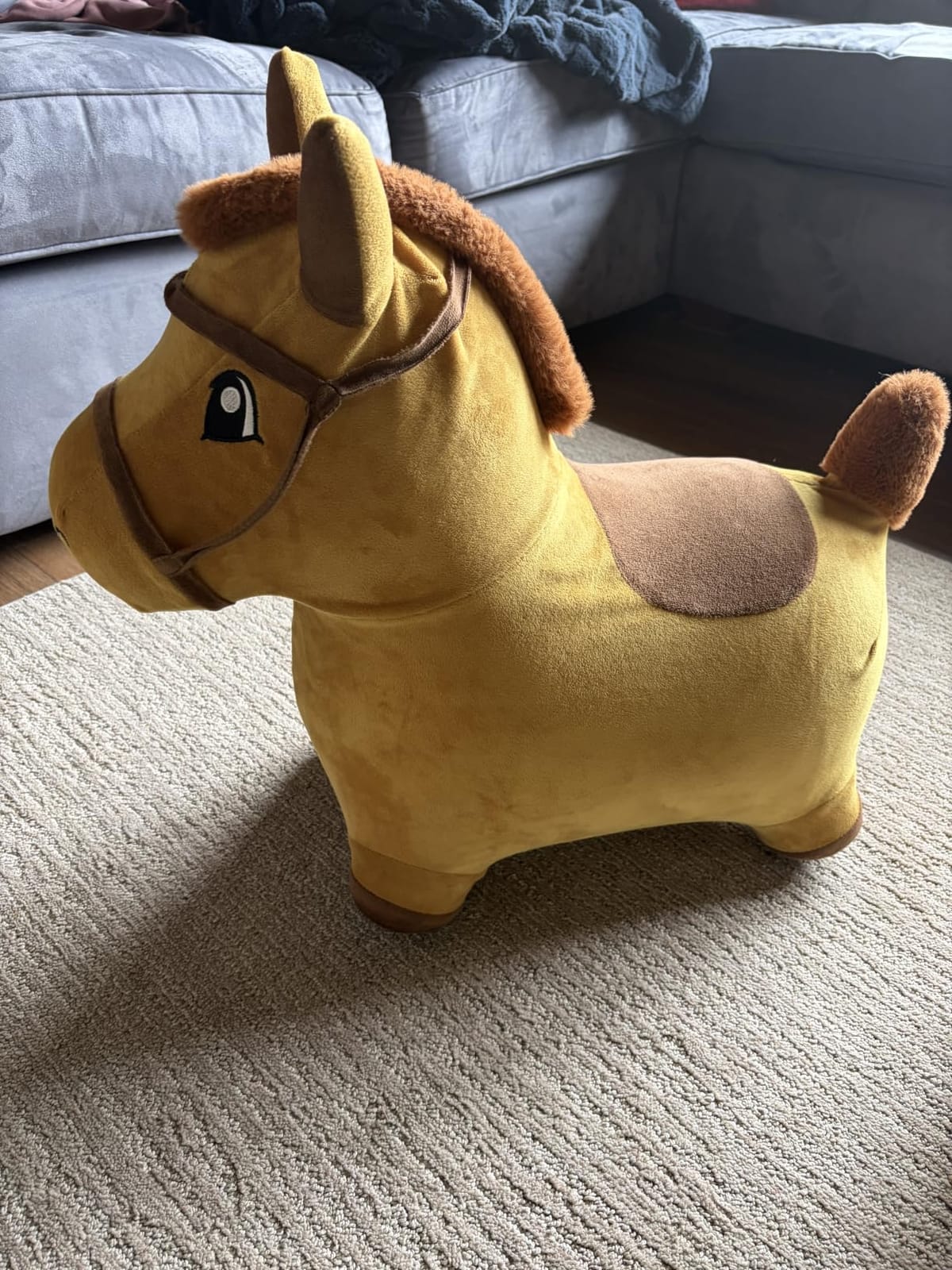 Bouncy Pals Toddler Dinosaur Hopper Toy, Kids Outdoor Ride on Bounce Animal customer photo 2