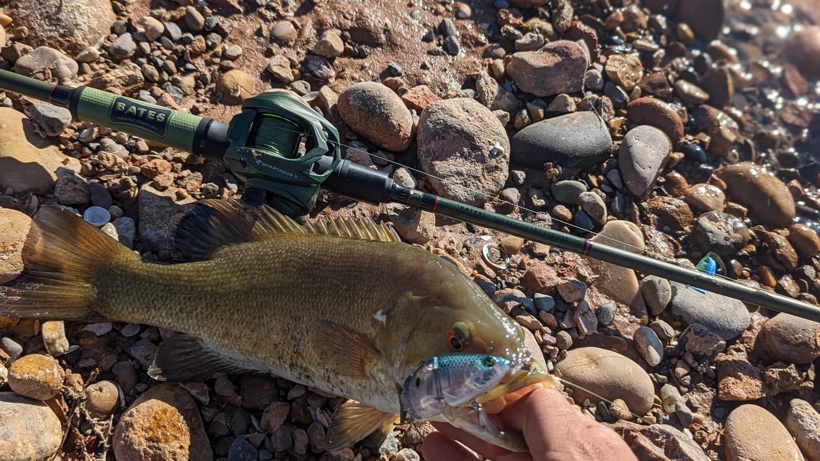 KastKing Spartacus II Baitcasting Fishing Reels with 7.2:1 Gear Ratio customer photo 1