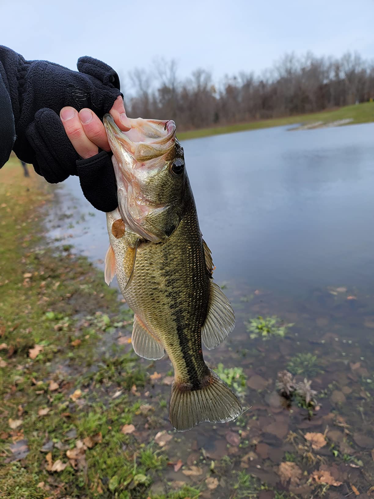 Deeper PRO+ 2 Sonar Fish Finder - Portable Fish Finder and Depth Finder For Kayaks, Boats and Ice Fishing with GPS Enabled | Castable Deeper Fish Finder with FREE User Friendly App customer photo 2