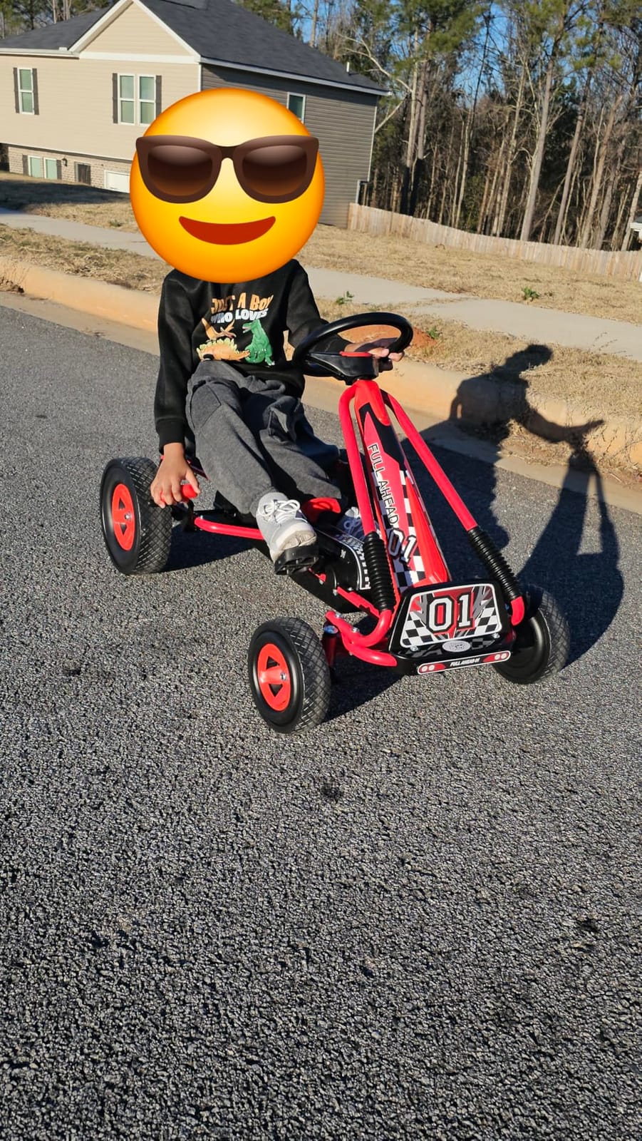 Costzon Go Kart for Kids, 4 Wheel Off-Road Pedal Go Cart w/Adjustable Seat, 2 Safety Brakes, EVA Rubber Tires, Ride-On Toys for Boys Girls, Outdoor Racer Pedal Car (Green) customer photo 2