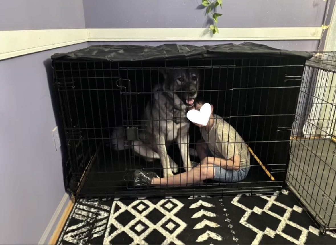 Amazon Basics Portable Metal Wire Dog Crate for Large Dogs, Double Door with Removable Tray, Divider Panel, Easy to Assemble, 48