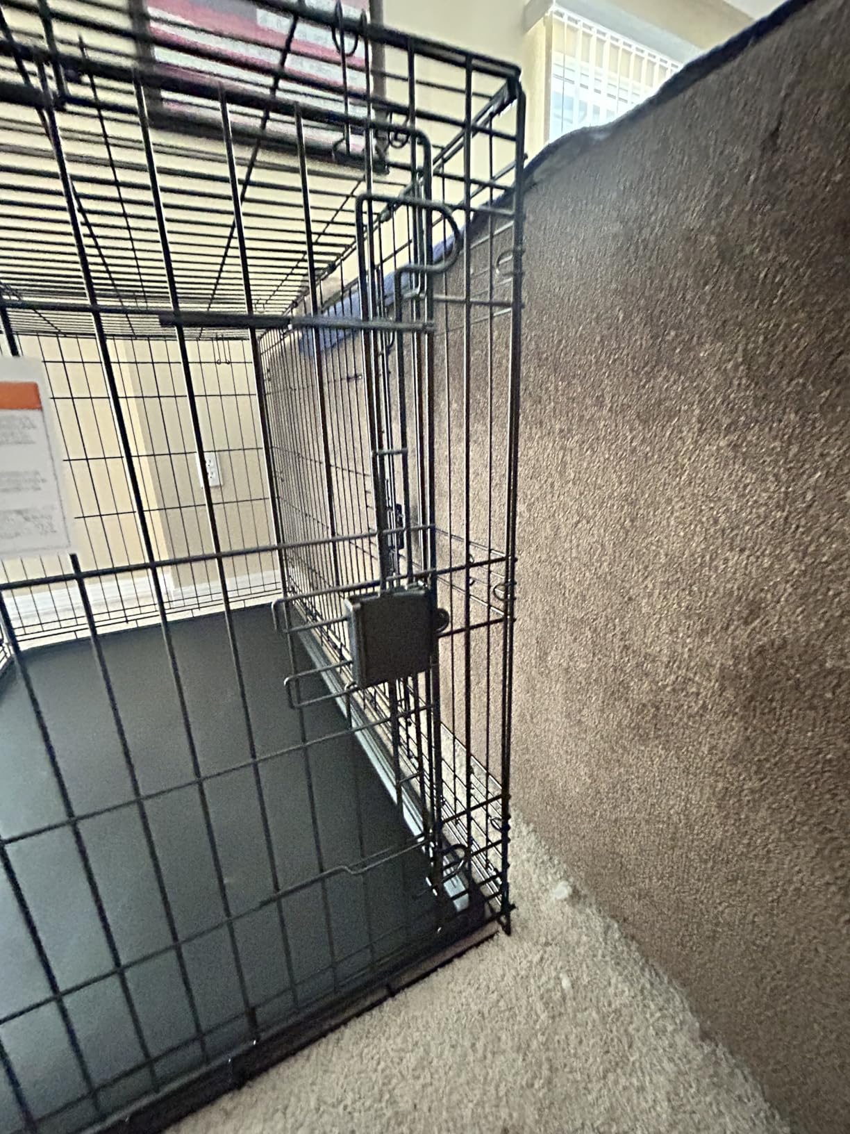 Amazon Basics Portable Metal Wire Dog Crate for Large Dogs, Double Door with Removable Tray, Divider Panel, Easy to Assemble, 48