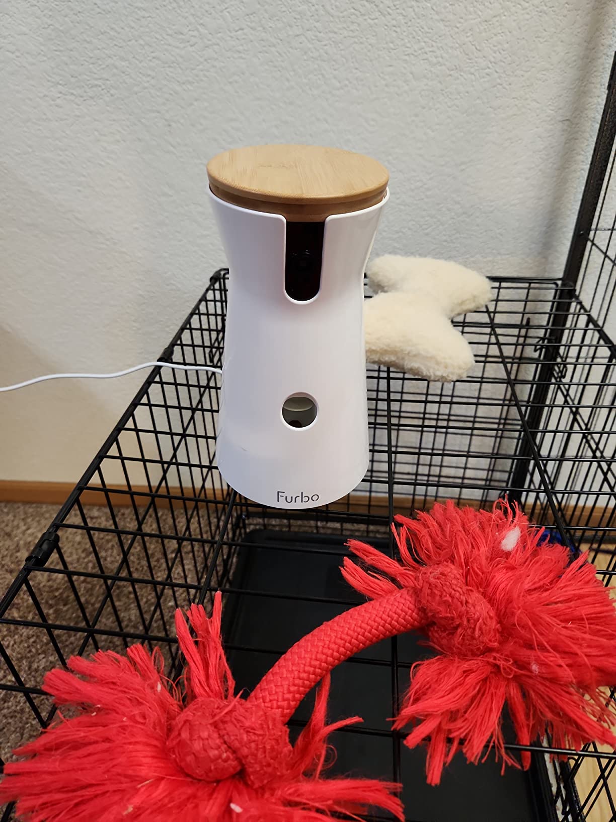 Furbo 360° Dog Camera [No Monthly Fee] | 360° Rotating Live View, Barking Alerts, Treat Toss, 2-Way Audio, Night Vision, Smart Home Puppy Monitoring customer photo 1