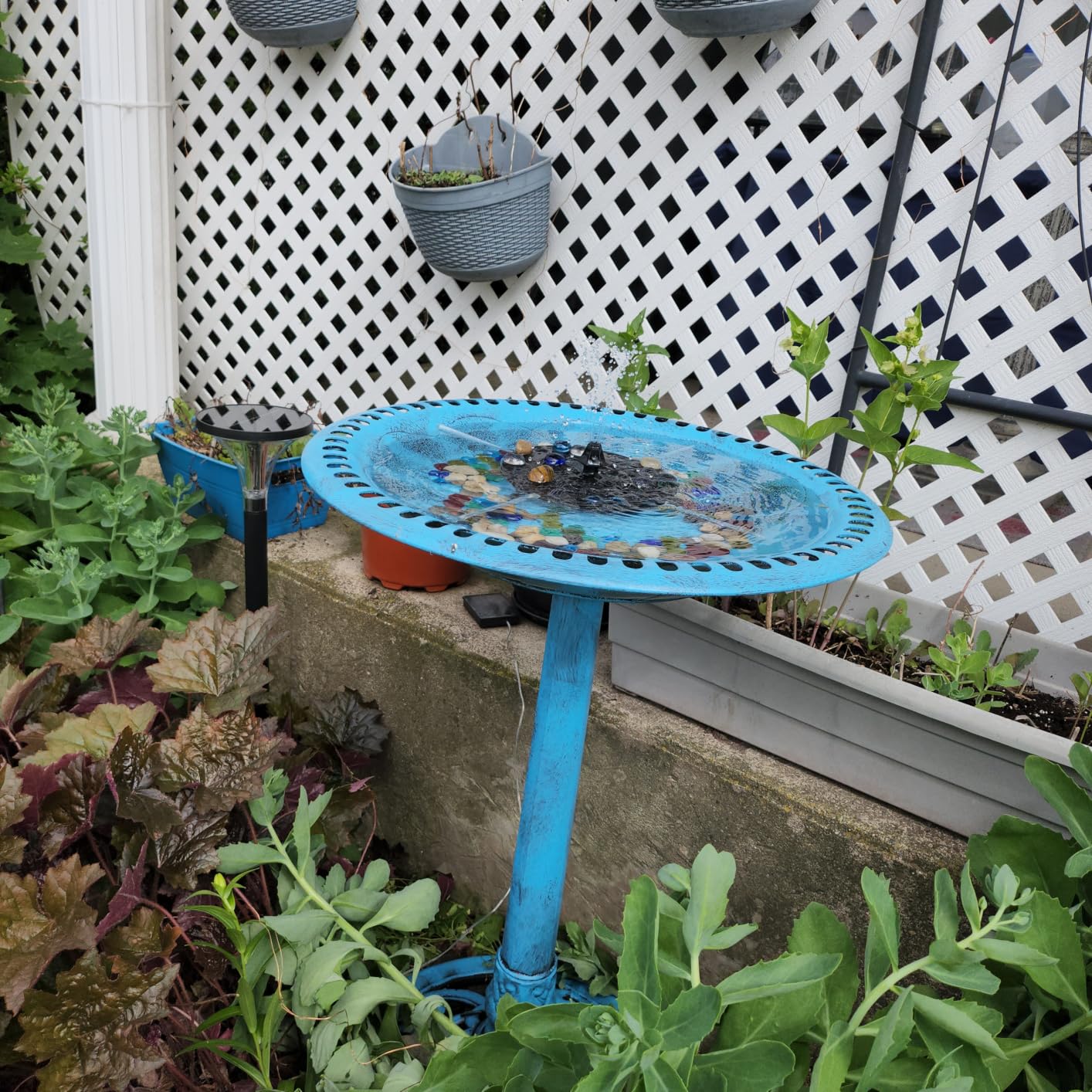 VIVOHOME Bird Bath with Solar Fountain for Outside, Pedestal, Blue | Solar-Powered Pump, Weather-Resistant Polyresin, 20-Inch Bowl, for Outdoor/Garden, Bird-Friendly, Easy to Clean customer photo 2