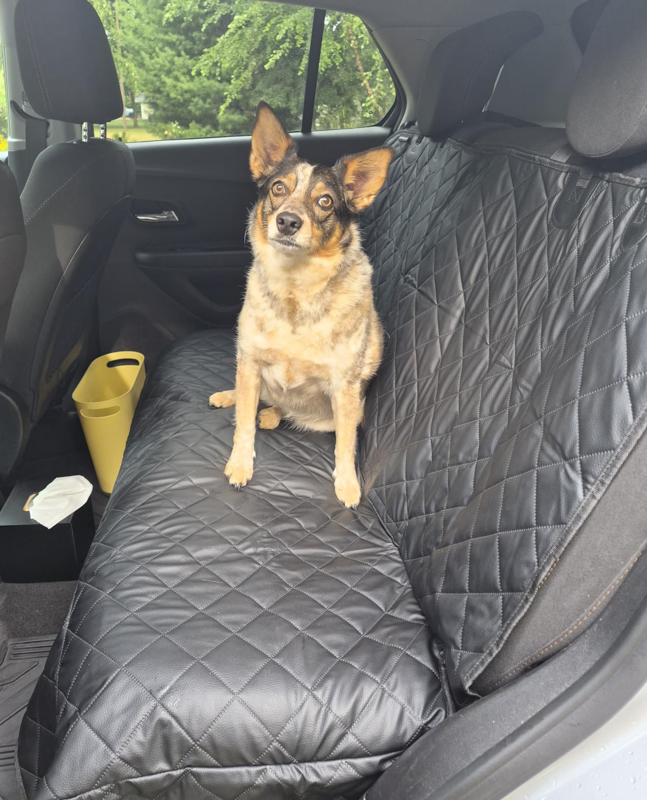URPOWER Dog Car Seat Cover for Back Seat - Waterproof Non-Slip Car Seat Protector for Dogs Pet, Scratchproof Back Bench Seat Covers for Mid-Size Cars, Mid-Size SUVs, Black customer photo 1