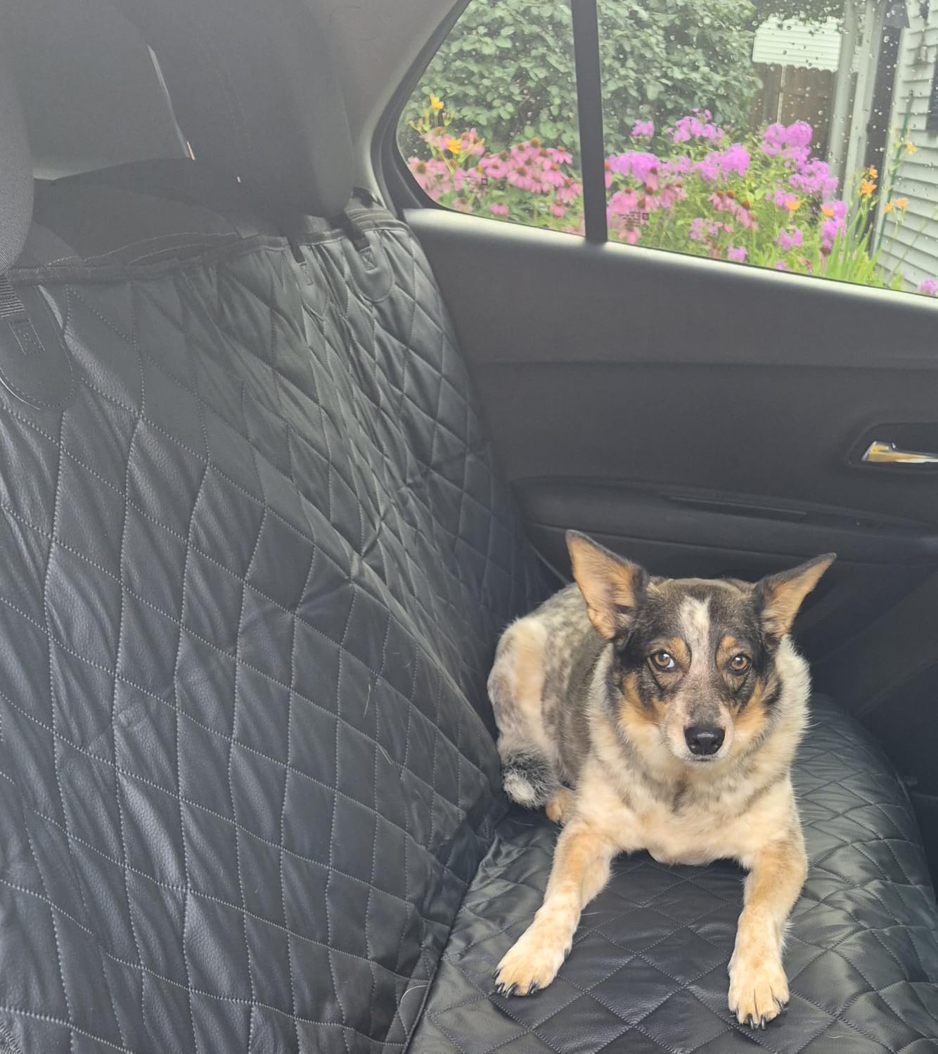 URPOWER Dog Car Seat Cover for Back Seat - Waterproof Non-Slip Car Seat Protector for Dogs Pet, Scratchproof Back Bench Seat Covers for Mid-Size Cars, Mid-Size SUVs, Black customer photo 2