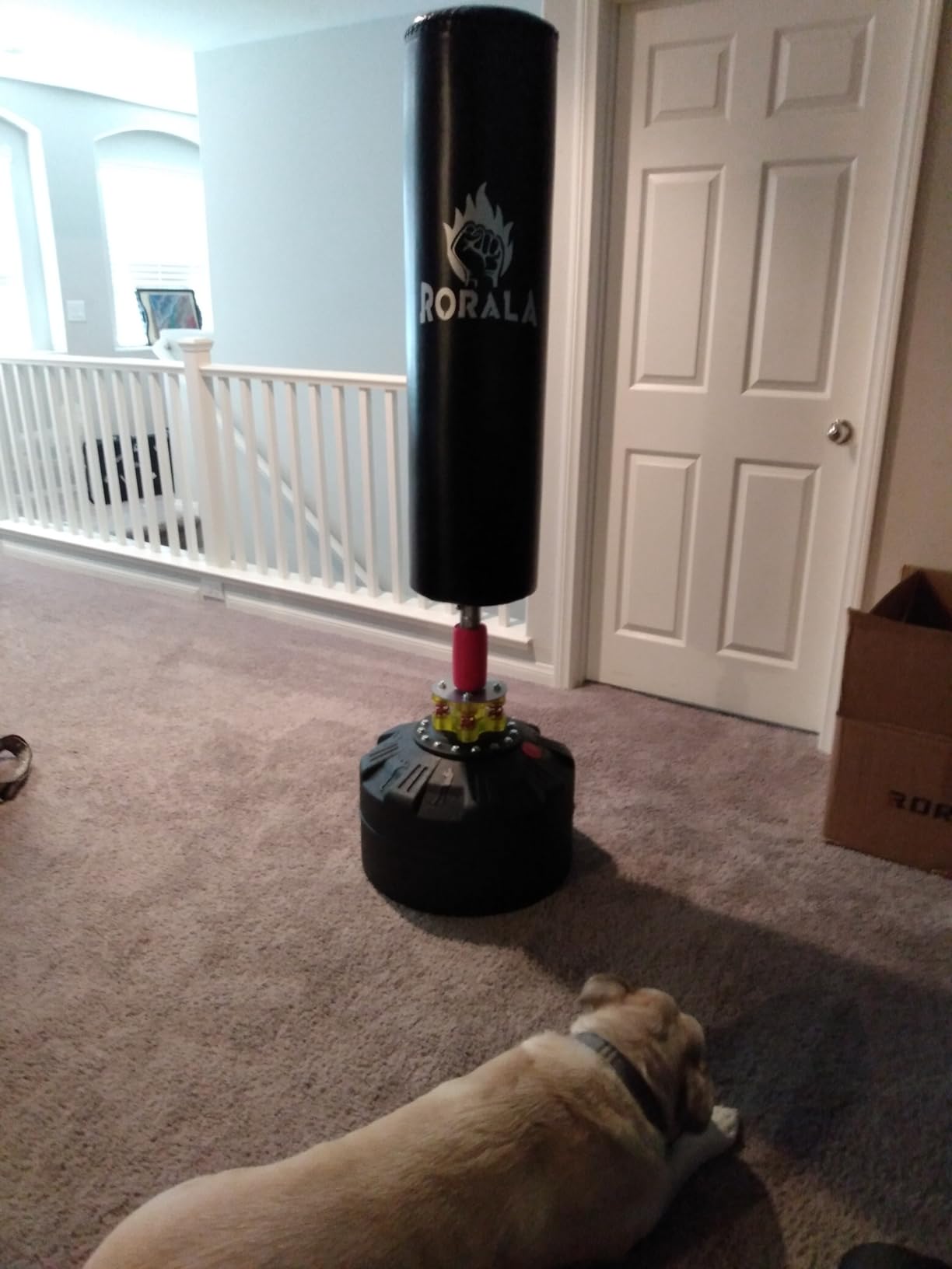 RORALA Punching Bag with Stand 70