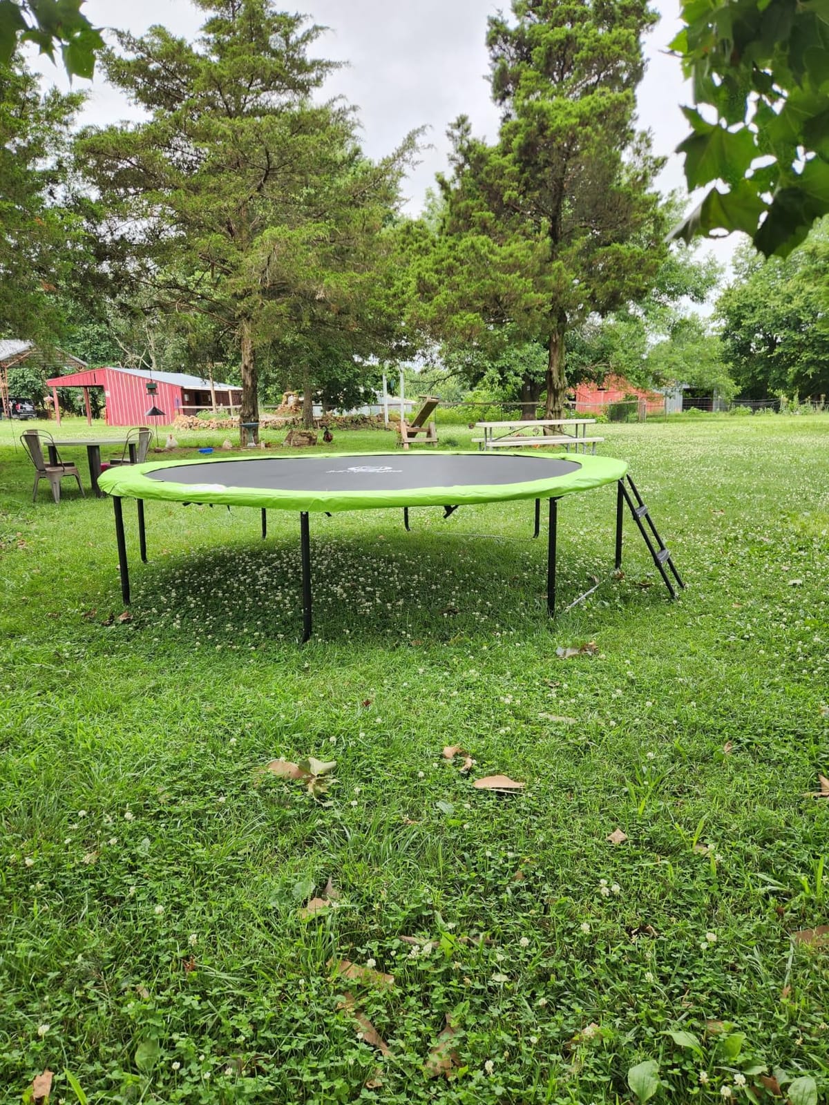 Jumpzylla Outdoor Trampoline with Net for Kids 8FT 10FT 12FT 14FT 15FT 16FT | ASTM-compliant trampoline with enclosure, non-slip ladder, rust-resistant galvanized steel frame, 8FT-16FT for kids & adults customer photo 2