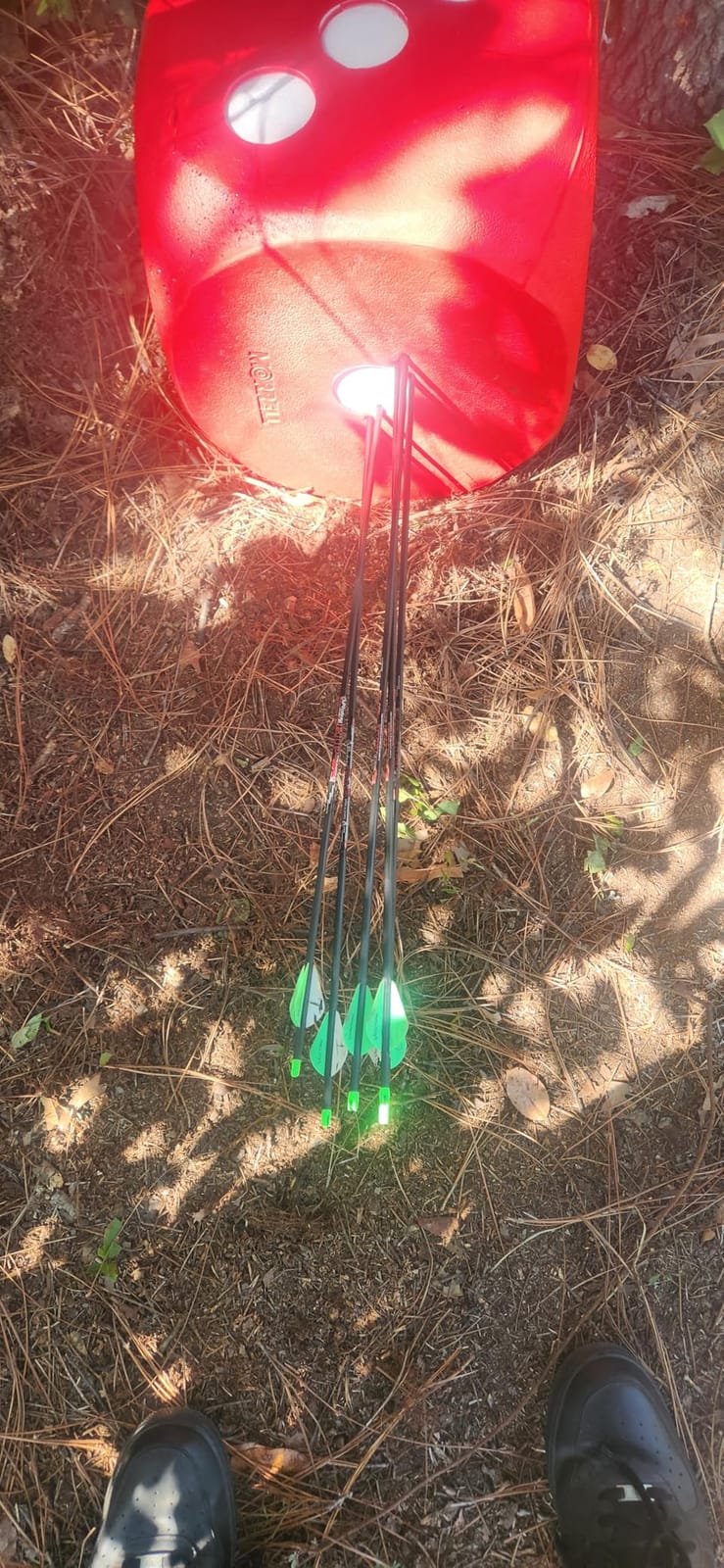 Morrell High Roller Foam Archery Target, 6-Sided Cube w/ 21 Bullseyes and Carry Handle - Portable Backyard Target for Broadheads, Field Points, Compound Bows and Crossbows customer photo 2
