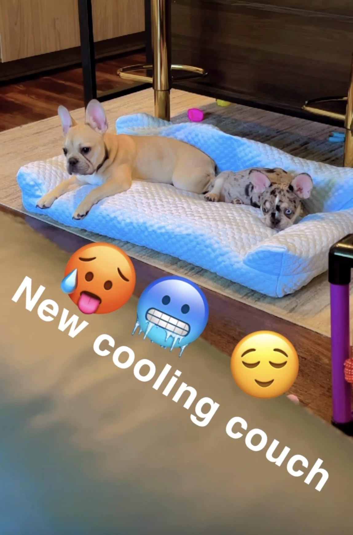 Cooling Dog Bed for Large Medium Small Dogs, Breathable Dog Cooling Mat with Self Cooling Ice Silk Fabric, Washable Summer Pet Bed for Indoor Outdoor, Blue Medium customer photo 2