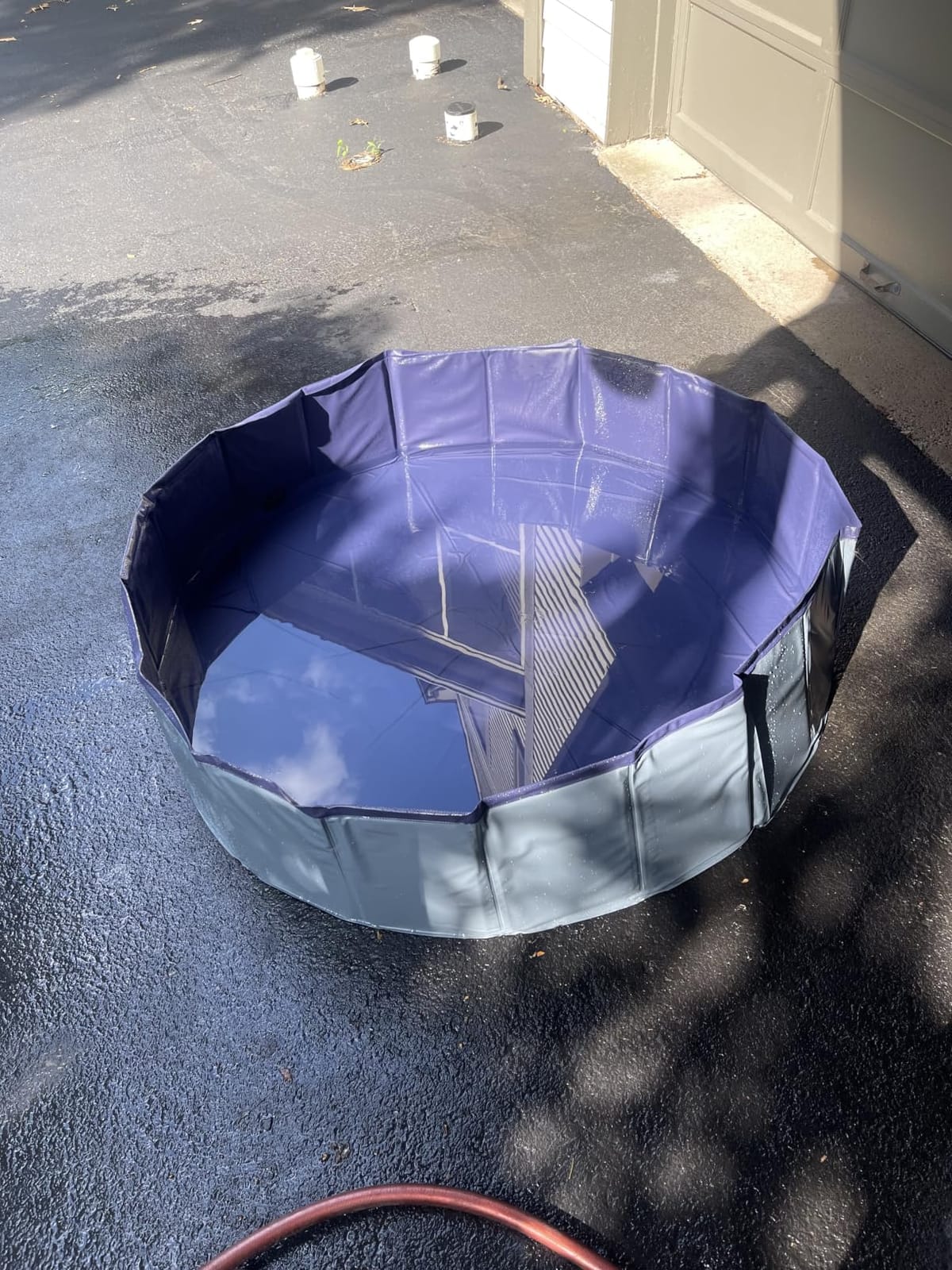 Niubya Foldable Dog Swimming Pool, Collapsible Hard Plastic, Portable Bath Tub for Pets Dogs and Cats, Pet Wading Pool for Indoor and Outdoor, 72 x 12 Inches customer photo 2