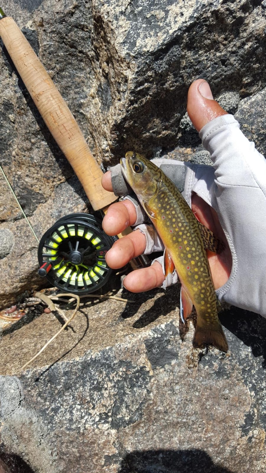 Redington Zero Fly Fishing Reel - Ultralight Trout Reel with Clicker Drag System, Large Arbor, Quick-Change Spool & Twin-Molded Handle - Durable Die-Cast Construction customer photo 2