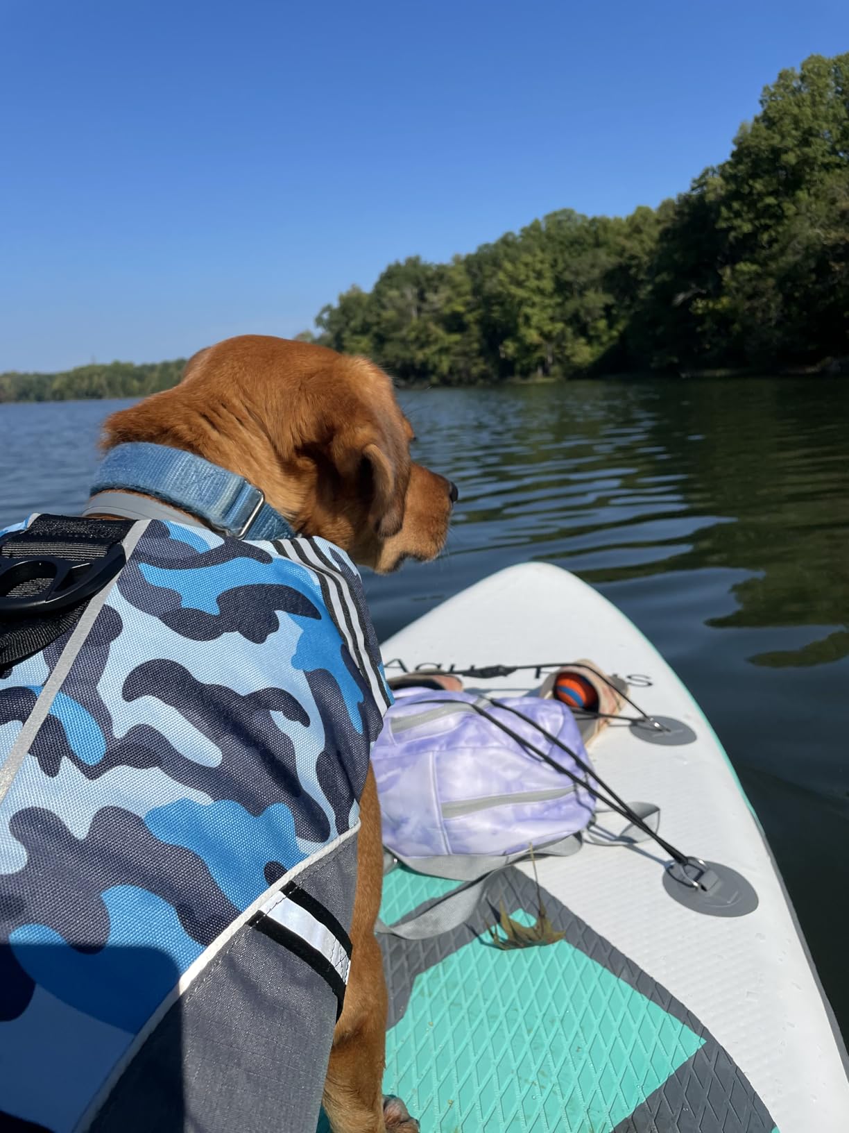 Aqua Plus 6inches Thick Inflatable SUP for All Skill Levels Stand Up Paddle Board, Paddle, Pump, ISUP Travel Backpack, Leash, Shoulder Strap, Youth, Adult Inflatable Paddle Board customer photo 1