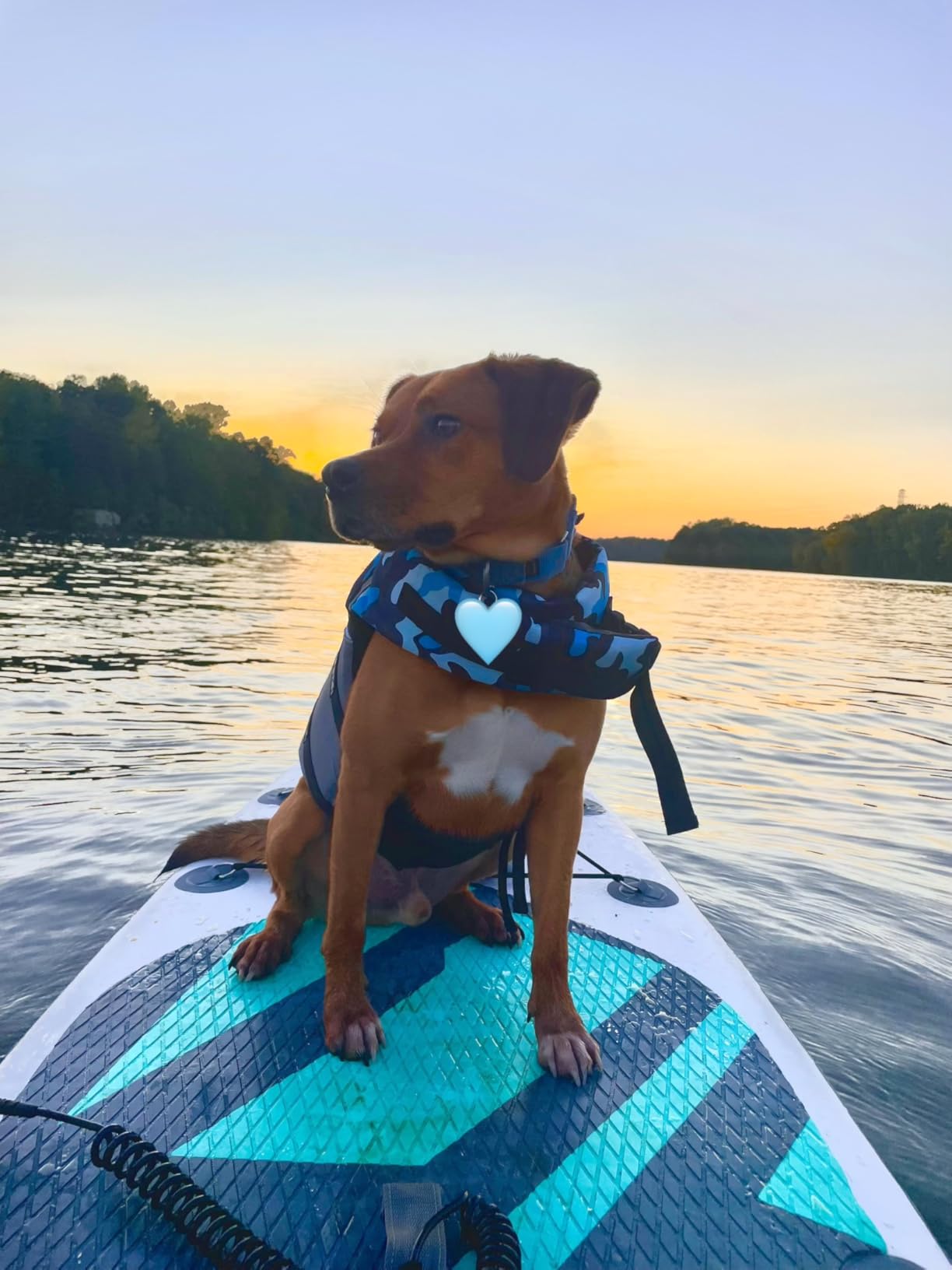 Aqua Plus 6inches Thick Inflatable SUP for All Skill Levels Stand Up Paddle Board, Paddle, Pump, ISUP Travel Backpack, Leash, Shoulder Strap, Youth, Adult Inflatable Paddle Board customer photo 2