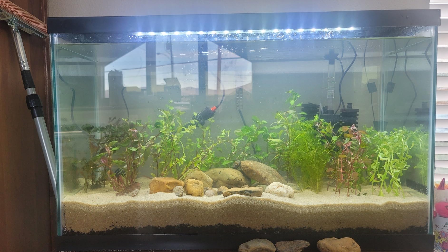 Tetra Aquarium, 10 Gallon, Complete Tropical Fish Tank Kit with LED Lighting for Freshwater Fish customer photo 2