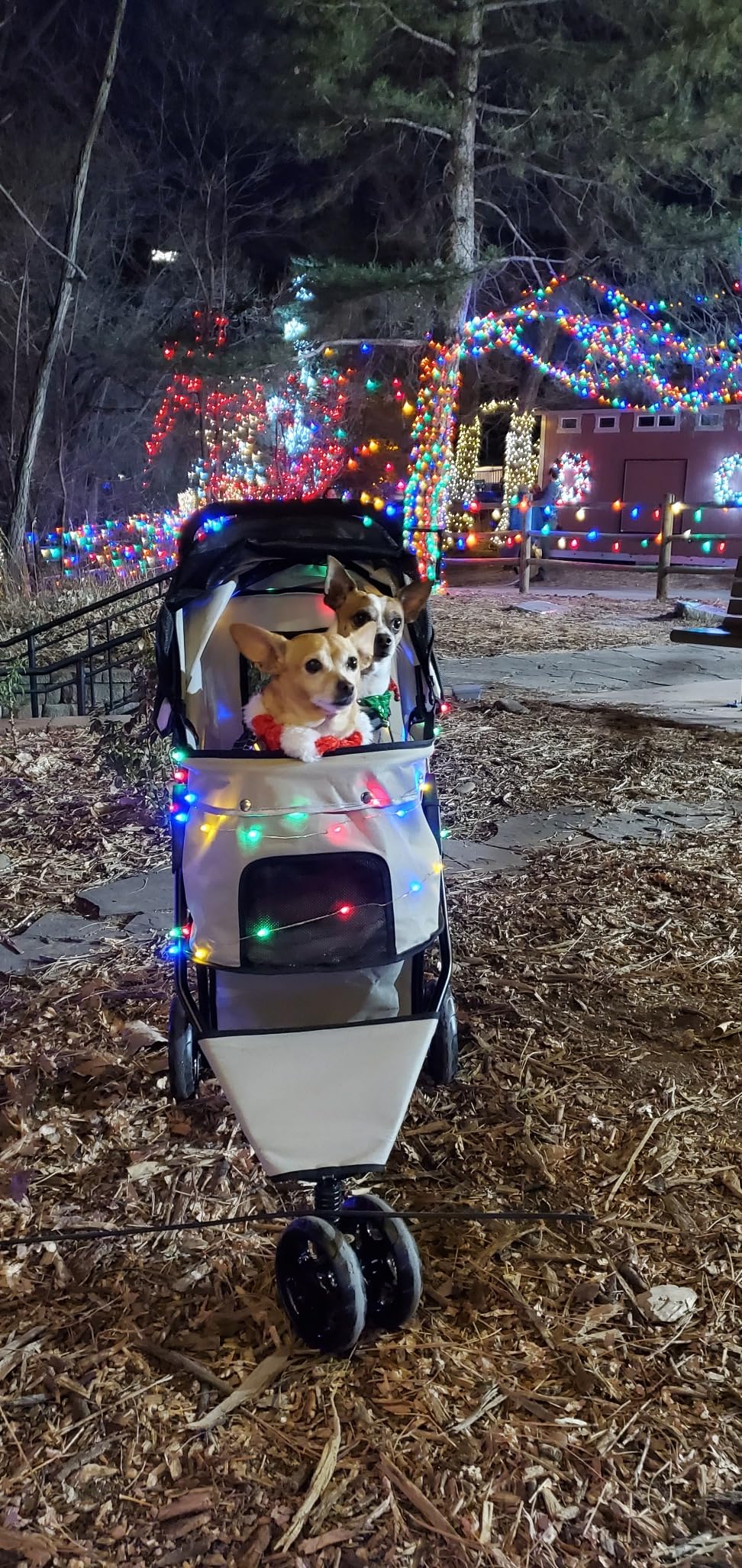 Carlson Pet Products Stroller, Includes 360 Degree Front Wheel Swivel, Rear Wheel Breaks, Reflective Trim, Mesh Panels, Umbrella and Mesh Canopy, Khaki customer photo 2