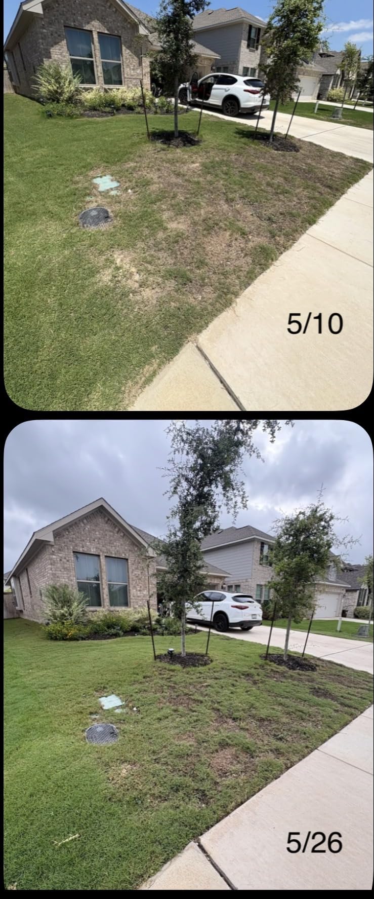Walensee Manual Lawn Aerator Tool with 15 Iron Spikes, Garden Spike Aerator | Alternative to aerator shoes, patented grass aerator creates small holes for easier lawn aeration and healthier roots. customer photo 2