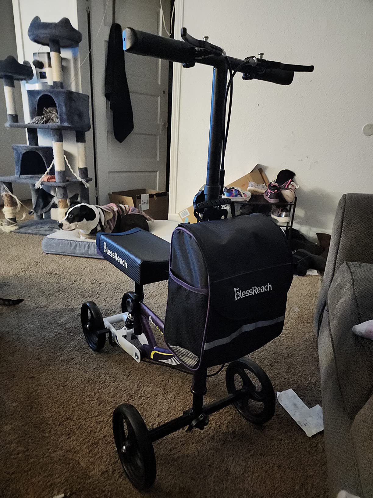 BlessReach Knee Scooter for Adults for Foot Injuries, Dual Braking System | 300lbs Foldable Leg Scooter, 120° Turning, Cozy Knee, PadAdjustable Height, Storage Bag, Crutch Alternative for Ankle Recovery customer photo 2