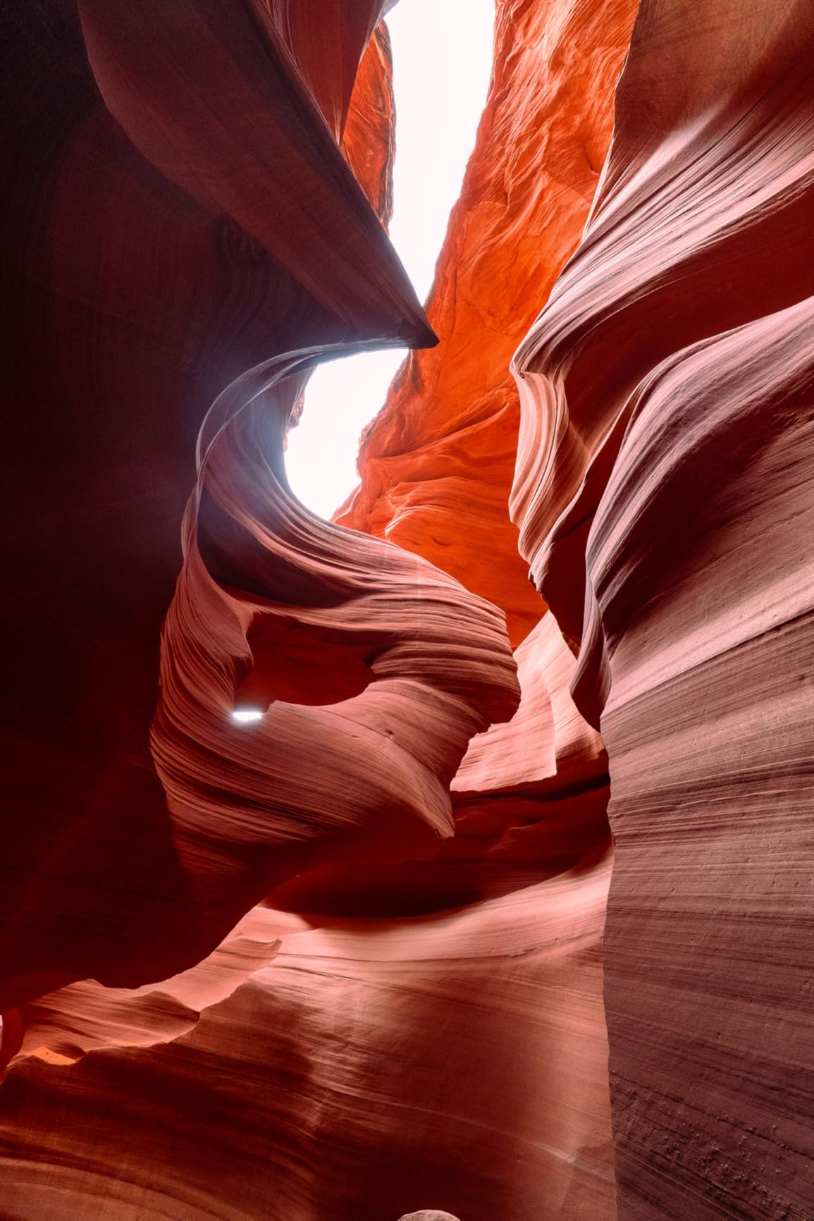 Sony E 11mm F1.8 APS-C Ultra-Wide-Angle Prime Lens customer photo 2