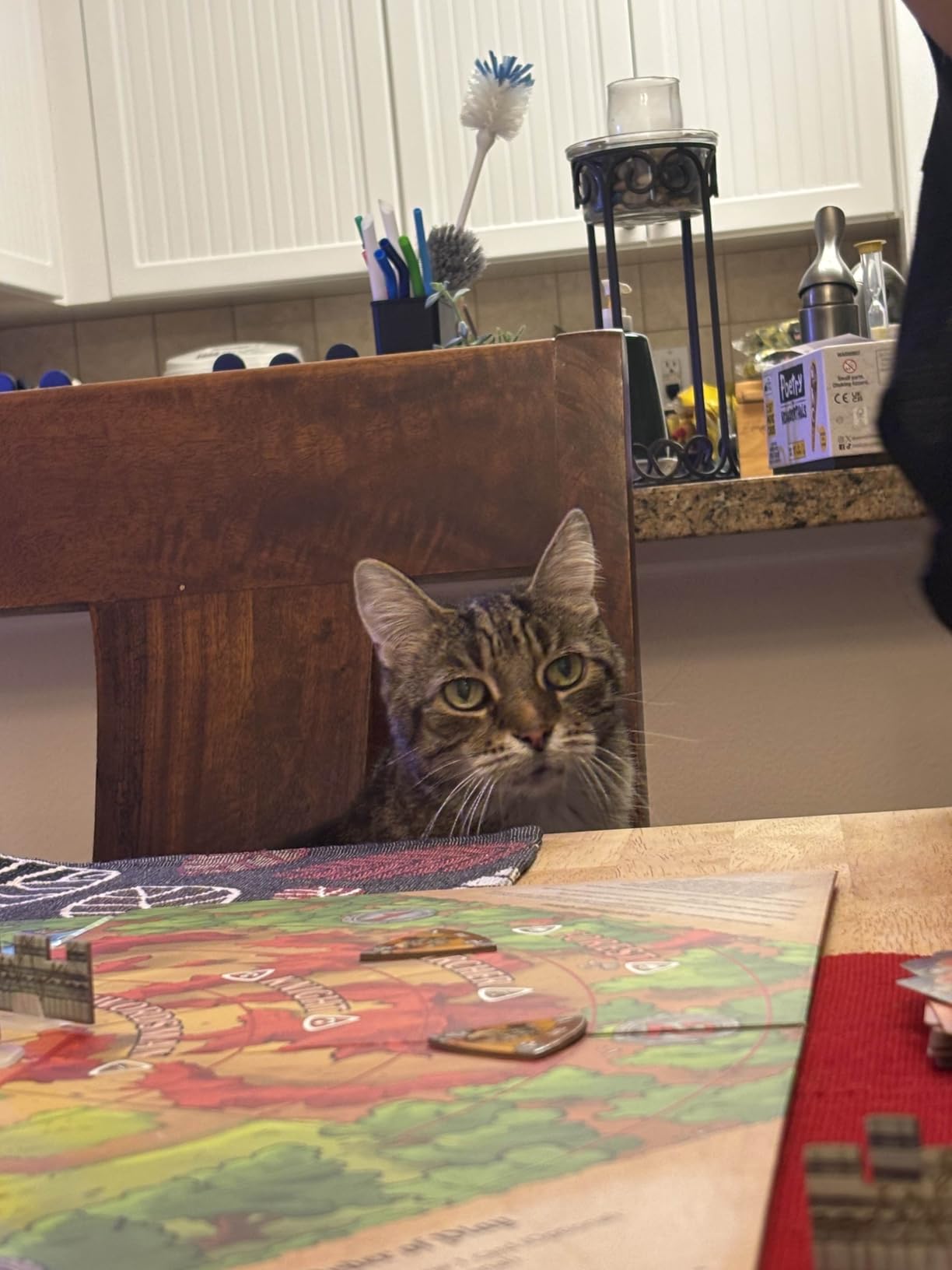 Fireside Games Castle Panic 2nd Edition Fantasy Board Game | Cooperative tower defense customer photo 2