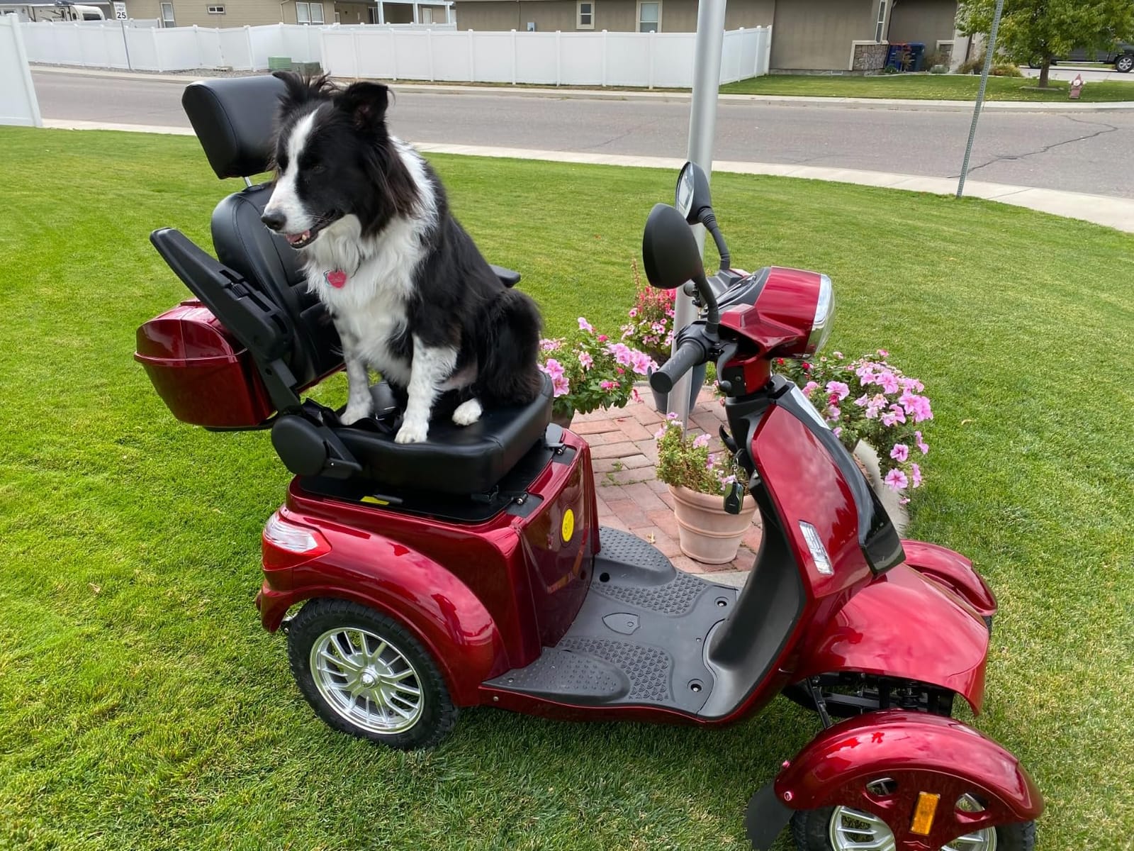Heavy Duty 4 Wheel Mobility Scooters for Seniors & Adults 500lbs Capacity - Electric Powered Chair - 1000W All Terrain Fast Mobility Scooter for Travel w/Long Range Battery Remote Key customer photo 2