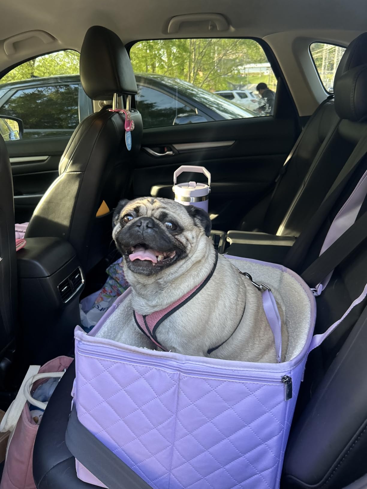 PETSFIT Dog Car Seats for Small Dogs - Patented Safety Buckles - Safety Tether - Foldable Travel Dog Booster Car Seat Reduces Anxiety & Road Trips - Stable Frame, Soft Cushion, Fits Front/Back Seat customer photo 2