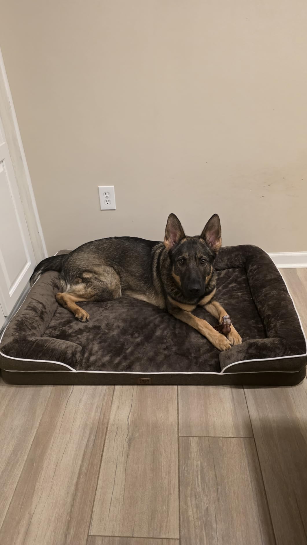 EHEYCIGA Orthopedic Dog Beds for Extra Large Dogs 44x32Inch, Polyurethane Foam XL Pet Bed with Sides, Non-Slip and Egg-Crate Foam Big Dog Couch Bed with Washable Removable Cover, Grey customer photo 1