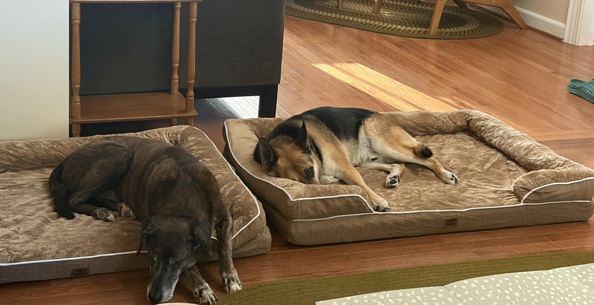 EHEYCIGA Orthopedic Dog Beds for Extra Large Dogs 44x32Inch, Polyurethane Foam XL Pet Bed with Sides, Non-Slip and Egg-Crate Foam Big Dog Couch Bed with Washable Removable Cover, Grey customer photo 2