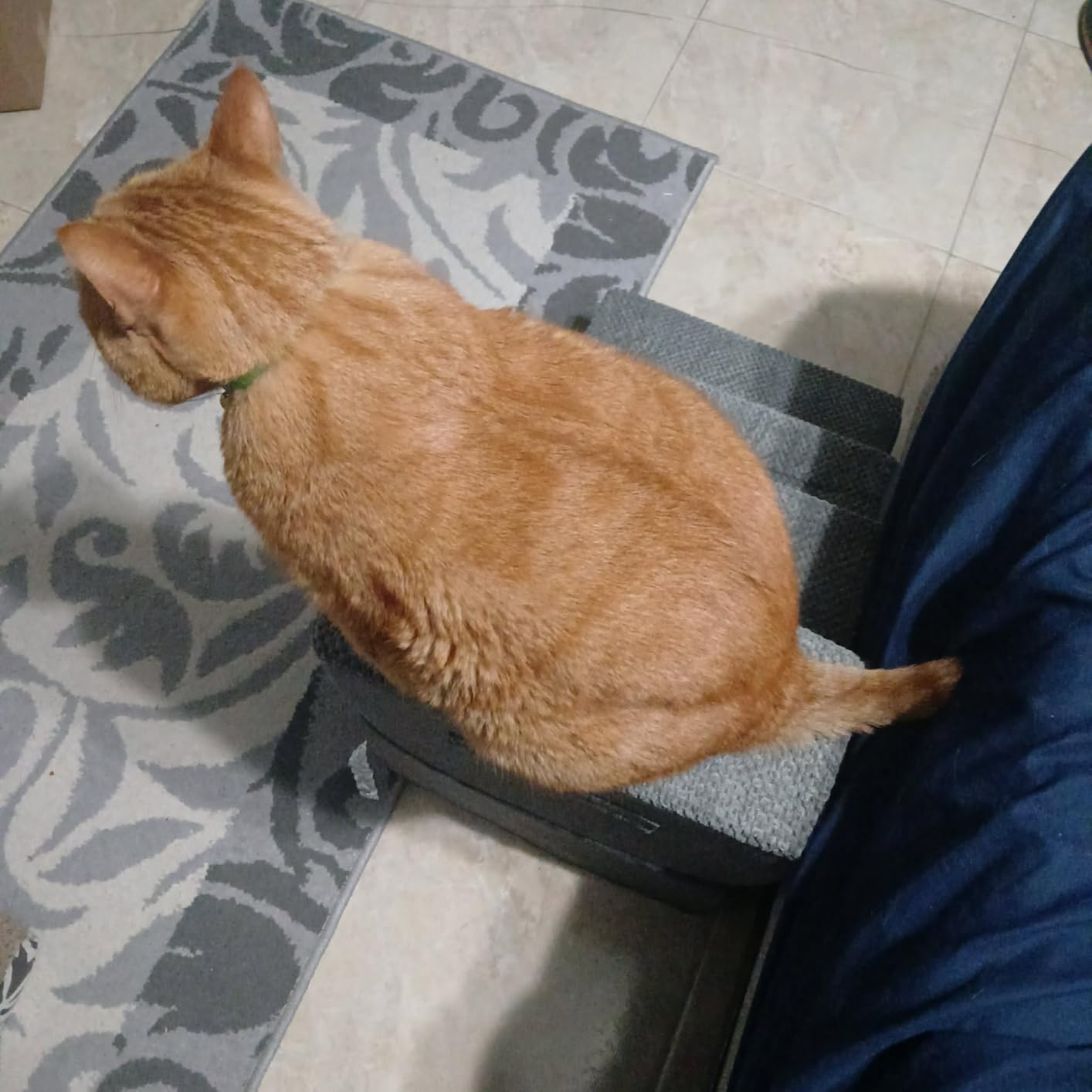 EHEYCIGA Dog Stairs for Bed 18