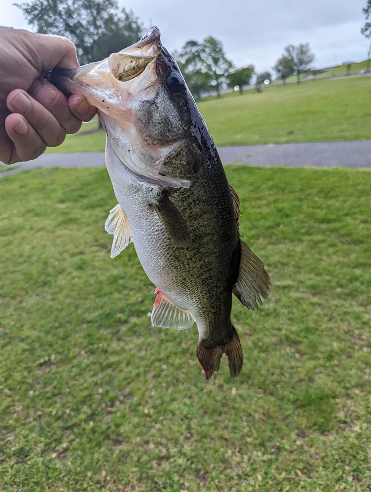 KastKing Centron Lite Baitcasting Reel customer photo 1