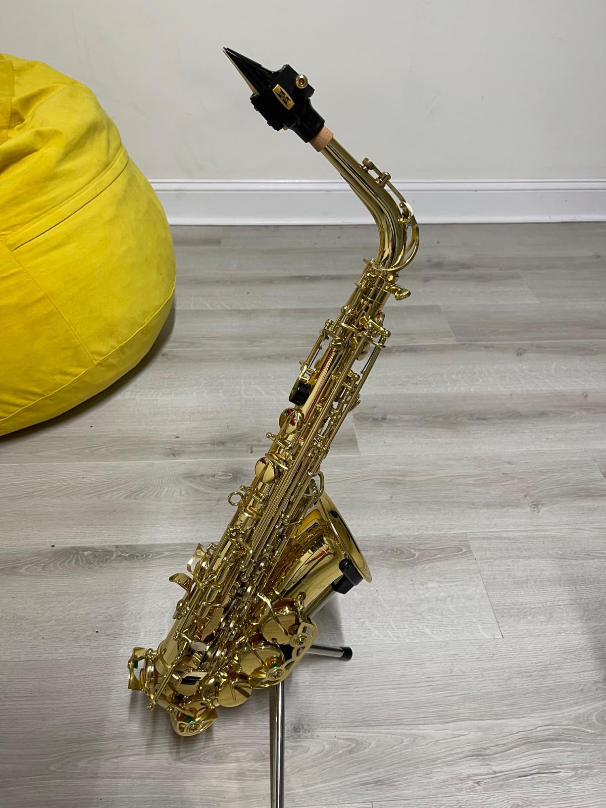 Eastar Upgraded Alto Saxophone E Flat for Beginner Students Brass Sax Full Kit, Travel Bag, Foldable Stand, Cleaning Kit, Golden Lacquer, EAX-21 customer photo 1