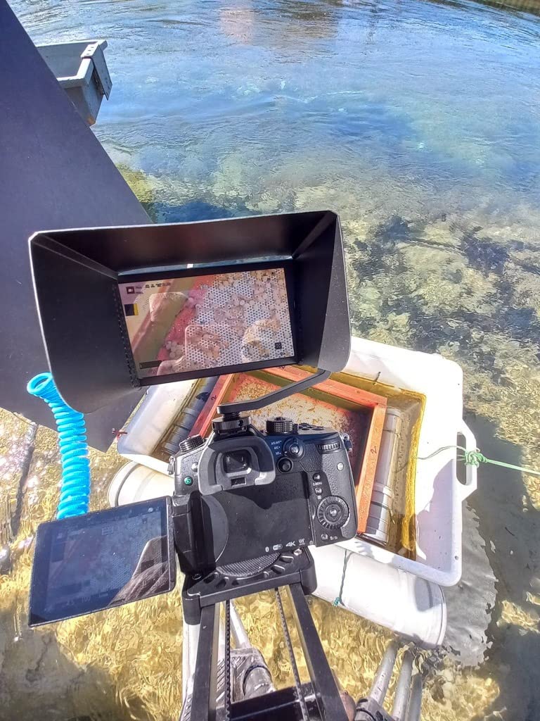 osee T5+ 5.5 Inch 1000nits Camera Monitor, Customizable False Color Field Monitor, HDR 4K HDMI Input 8 MySets Preview Workflow DSLR Monitor, Peaking Focus Assist, 3D Lut (Battery Not Included) customer photo 1