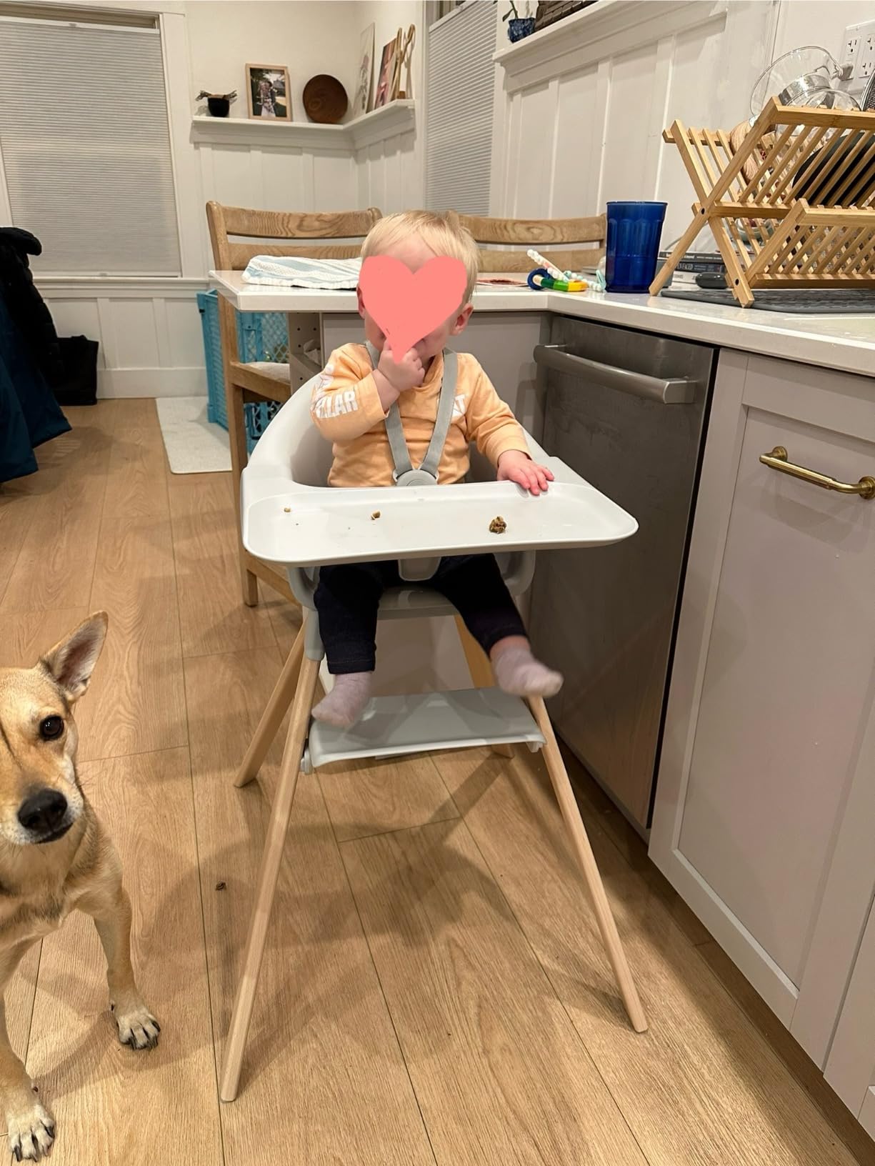 Stokke Clikk High Chair, White - All-in-One High Chair with Tray + Harness - Light, Durable & Travel Friendly - Ergonomic with Adjustable Features - Best for 6-36 Months or Up to 33 lbs customer photo 2