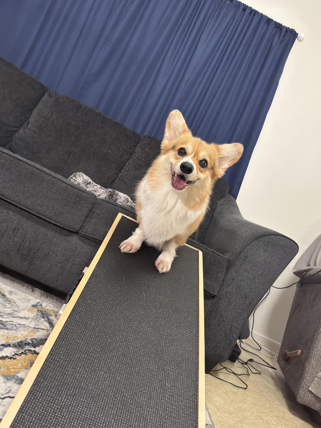 Dog Ramp for Couch - Non-Slip, Sturdy Build Foldable Wooden Dog Ramp - Supports up to 200 lbs - 7 Adjustable Heights (14