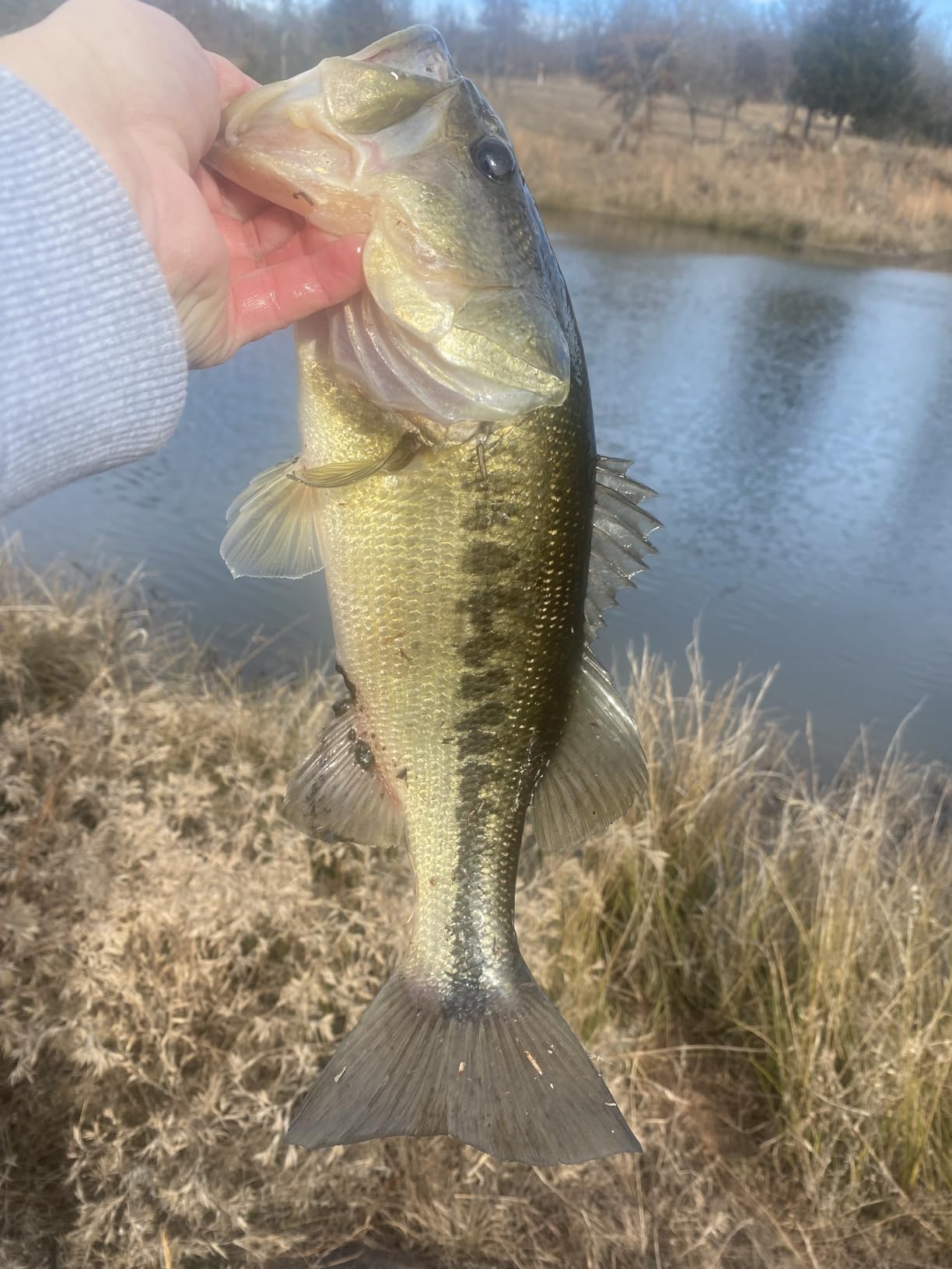 KastKing Megatron Baitcasting Reel customer photo 1