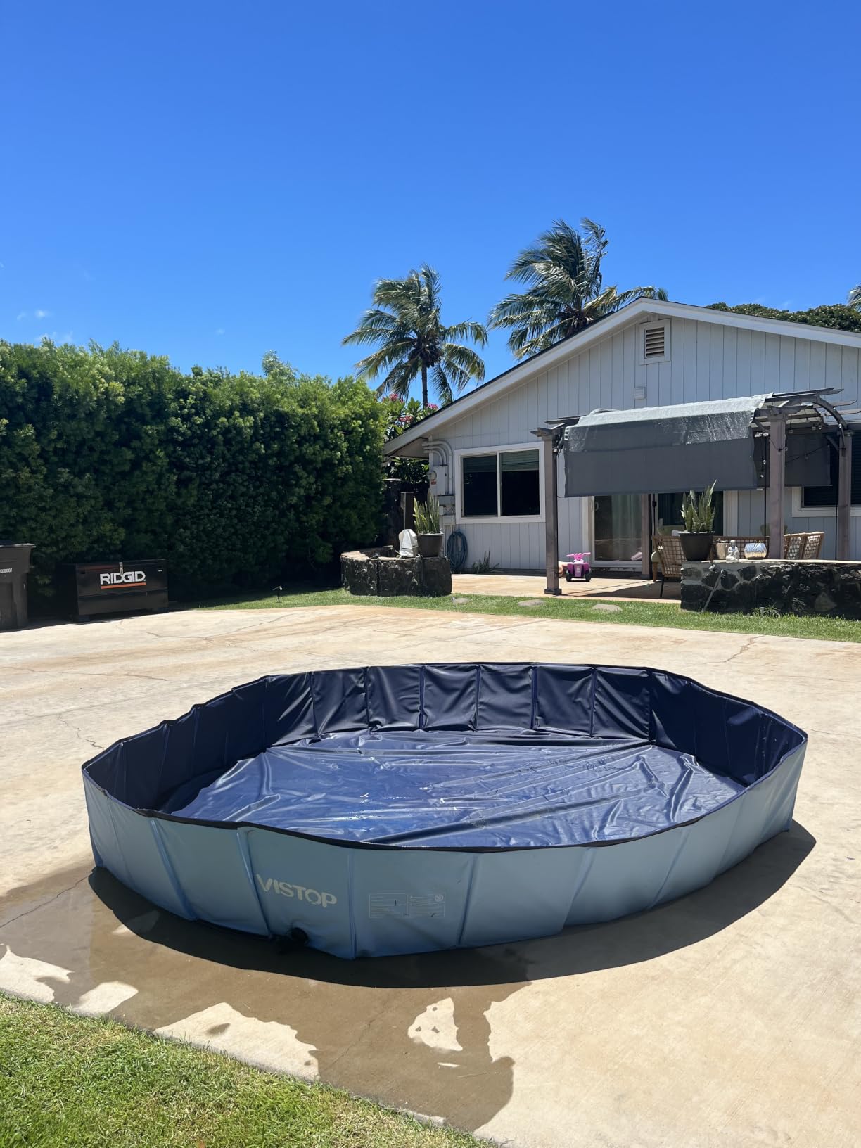 VISTOP Medium Foldable Dog Pool, Hard Plastic Shell Portable Swimming Pool for Dogs Cats and Kids Pet Puppy Bathing Tub Collapsible Kiddie Pool (37 inch.D x 7.8inch.H, Blue) customer photo 1
