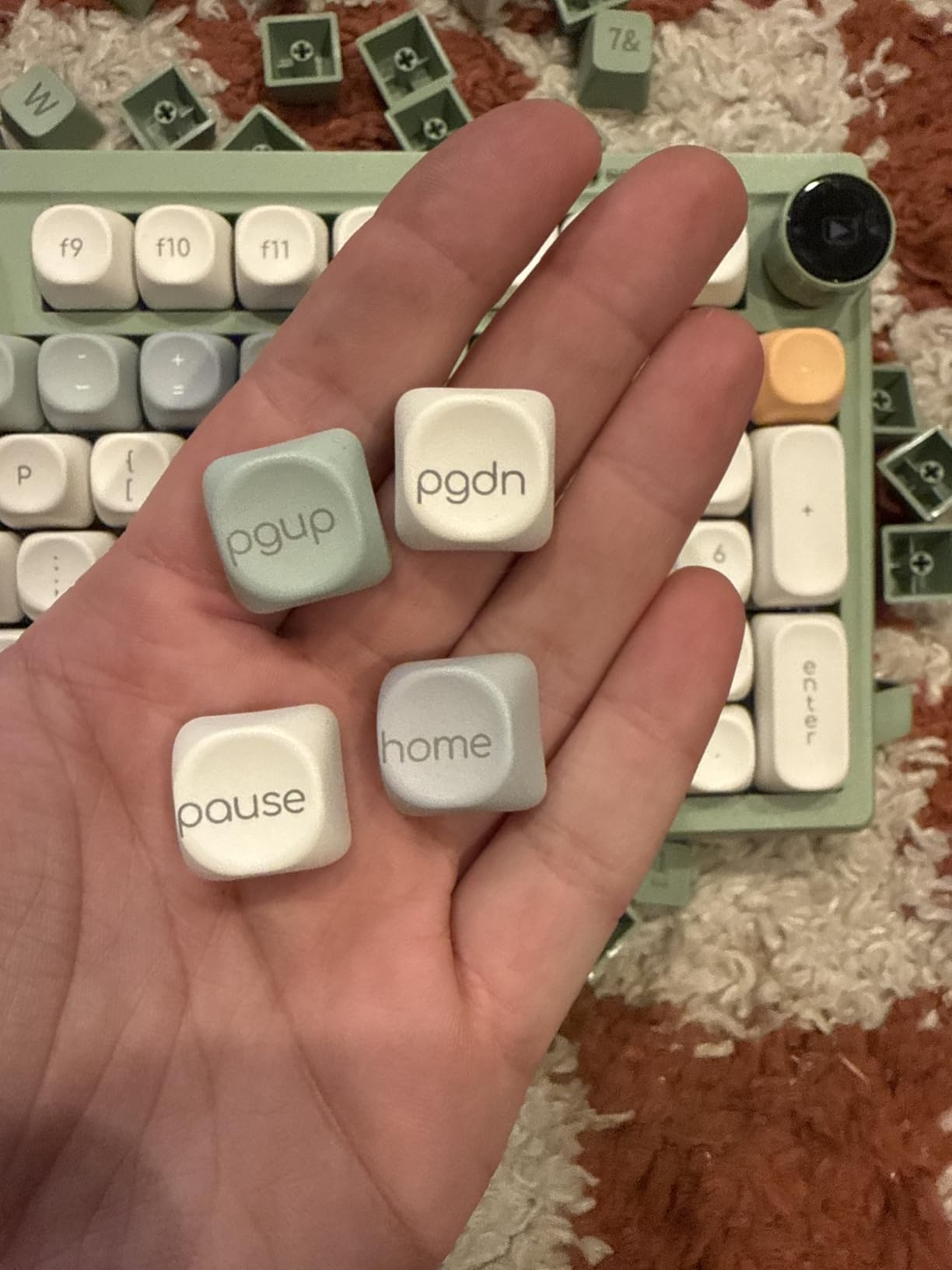 Womier Shine Through Keycaps - PBT Custom Keycaps Set, 127 Keys Plum Blossom, Dye-Sublimation Cherry Profile Keyboard Key Caps for Cherry Gateron MX Switches Mechanical Keyboards customer photo 1