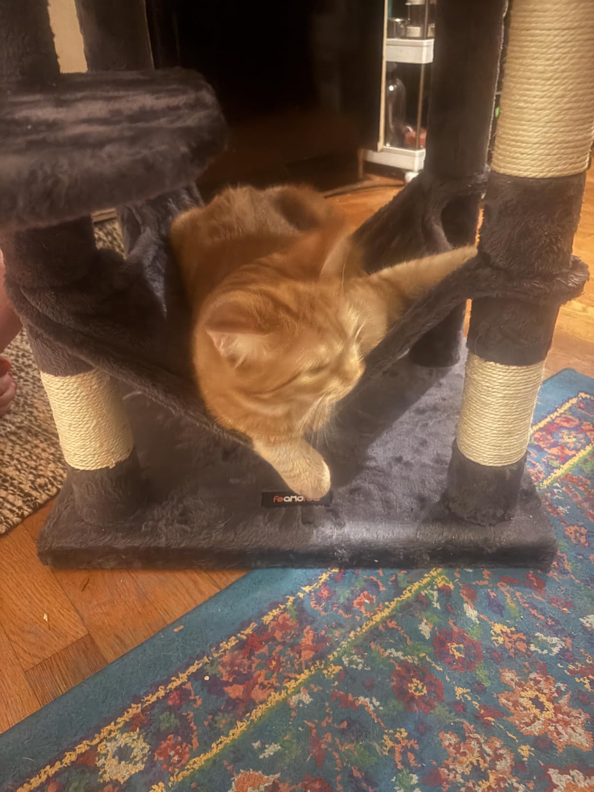 Feandrea Cat Tree, 59.5-Inch Tall Cat Tower, Plush Multi-Level Condo with 5 Scratching Posts, 2 Perches, 2 Caves, Hammock, 2 Pompoms, Light Gray UPCT192W01 customer photo 2