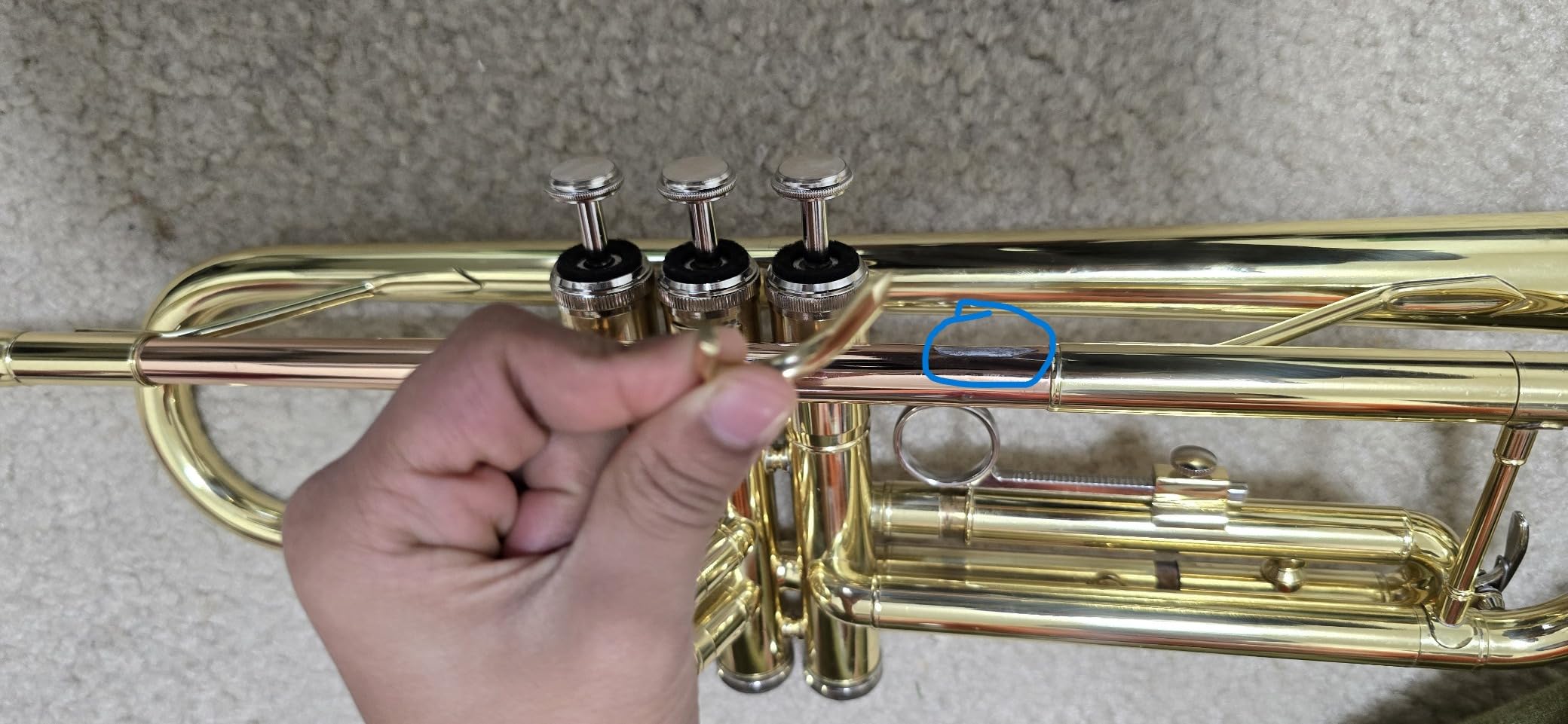 Glory Bb Trumpet - Trumpets for Beginner or Advanced Student with Case, pair of gloves-Gold customer photo 2