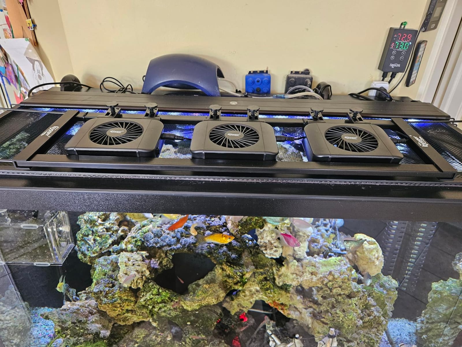 hygger Aquarium Chillers Fan, Quiet Fish Tank Cooling Fan Equipment with Adjustable Speed Controller, Suitable for Freshwater Saltwater Tanks (3-Fan Head) customer photo 2