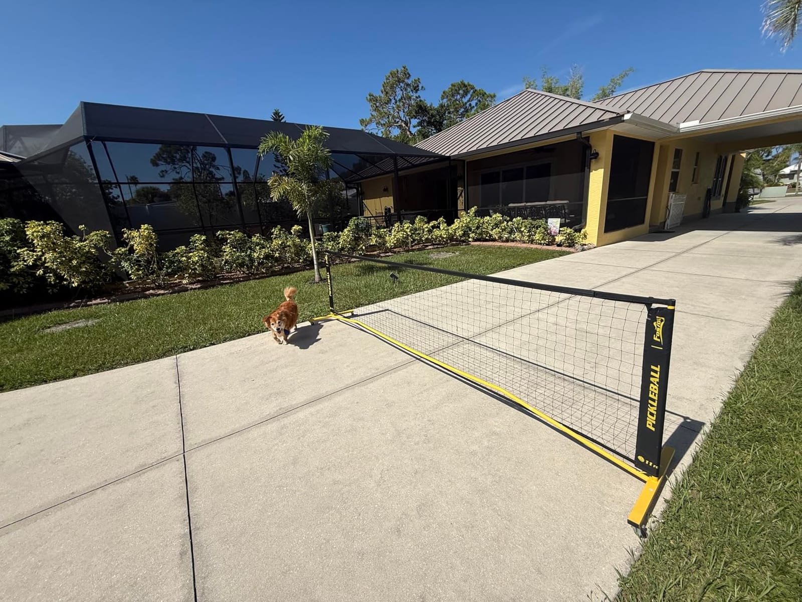 Fostoy Portable Pickleball Net Set with Wheels, 22 FT & Half Court 11 FT | Pickle Ball Net System, Steady Metal Frame with Carry Bag for Backyards, Driveways, and Garages customer photo 1