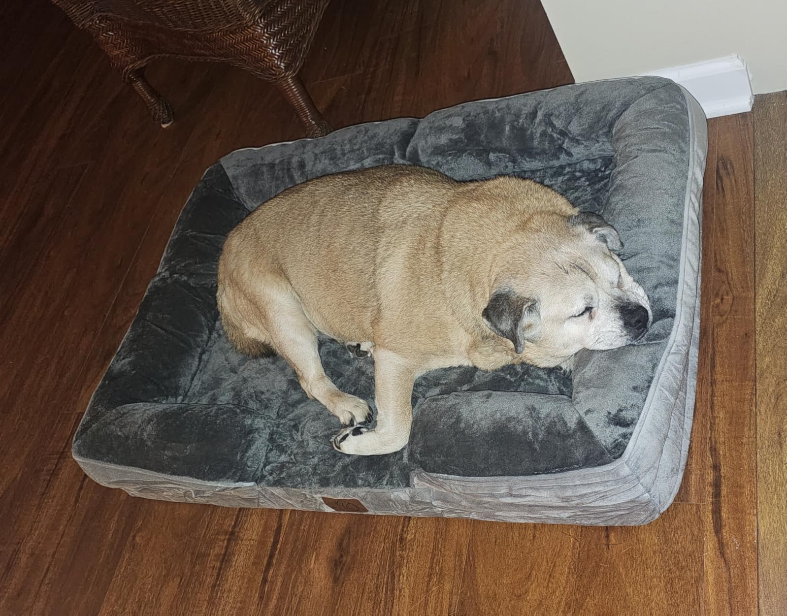 Bedsure L Plus Orthopedic Dog Bed for Large Dogs - Washable Dog Cat Bed Waterproof, L Plus Big Comfort Dogs Couch Sofa with Washable Removable Cover, Pet Bed with Nonskid Bottom, Grey, 38