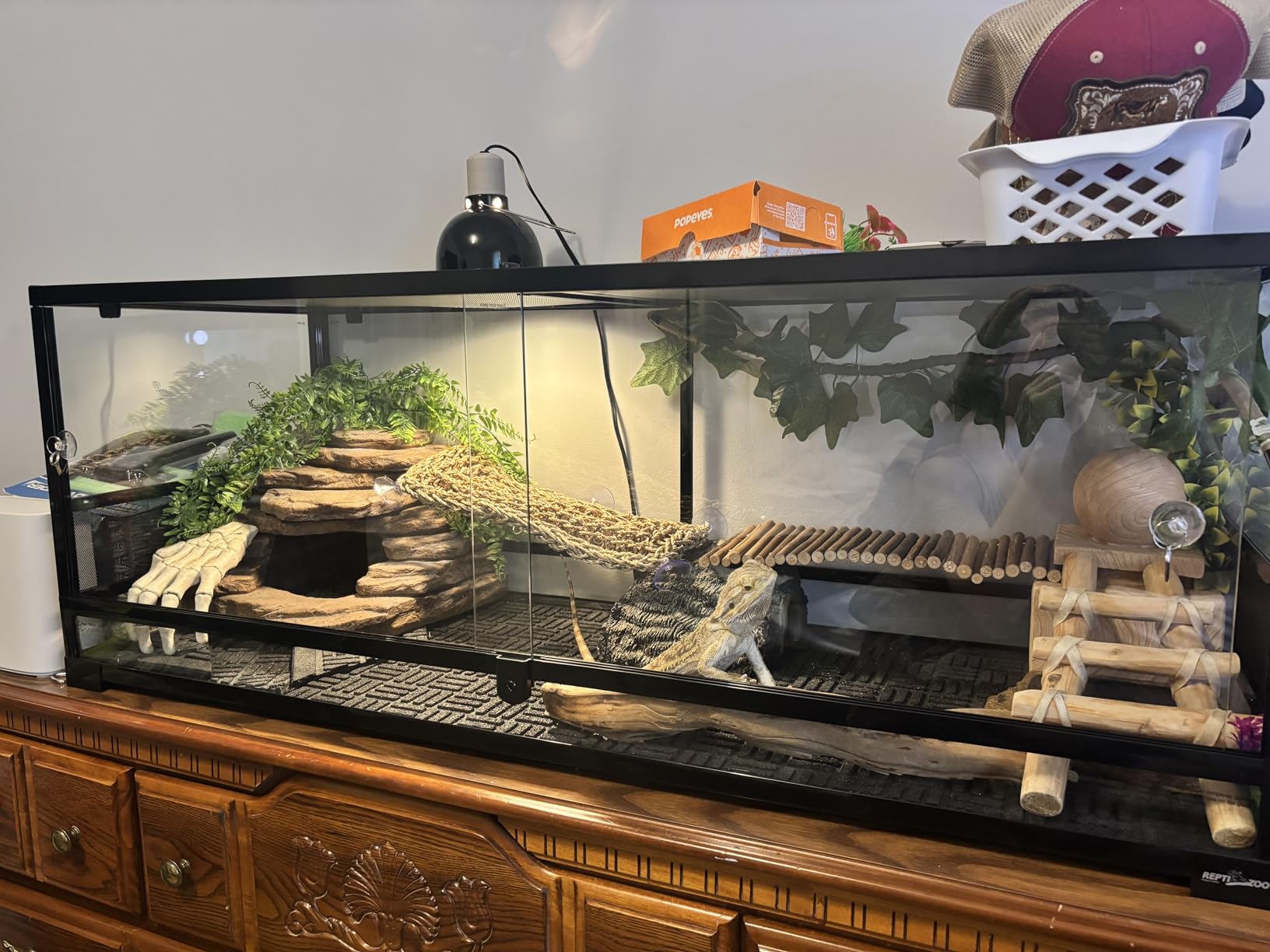 REPTI ZOO Reptile Tempered Glass Extra-Long Terrarium Habitats 48