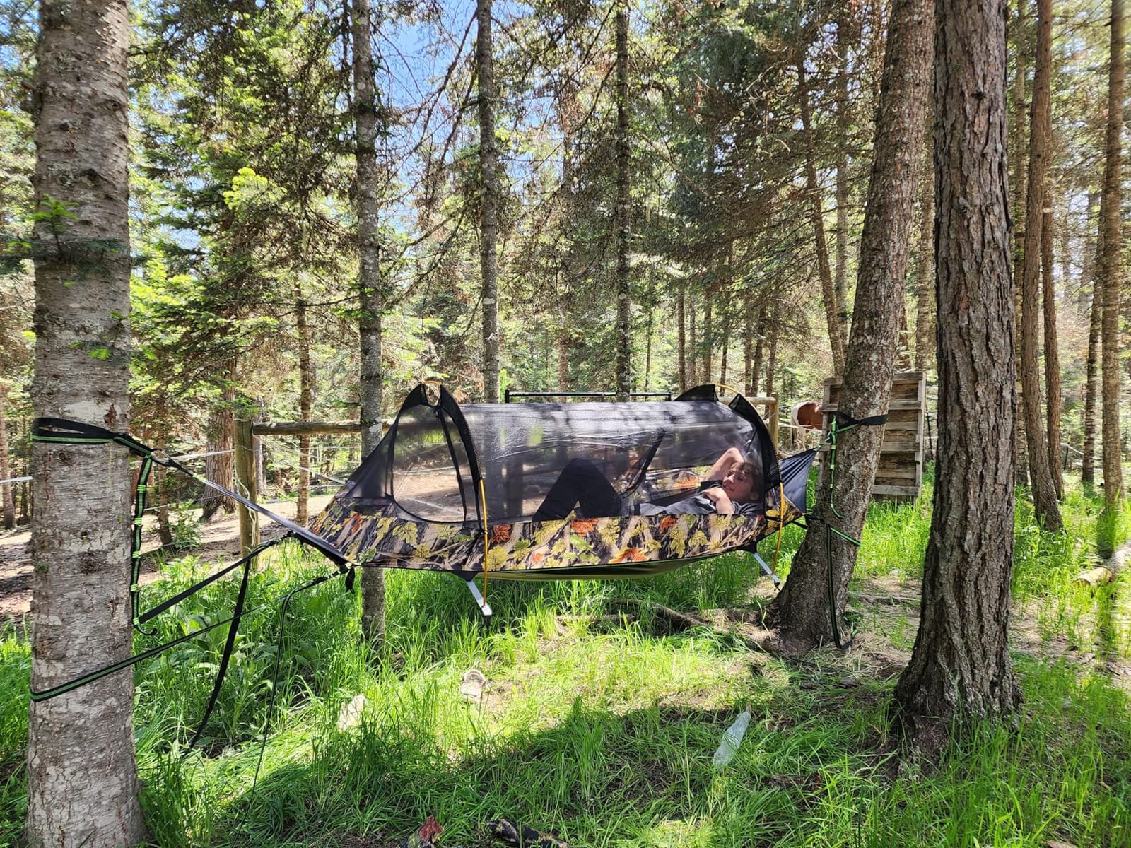 Night Cat Flat Lay Hammock Tent with Mosquito Net Waterproof Rainfly for 1 Person Backpacking Hiking Camping Lightweight 330LBS customer photo 1