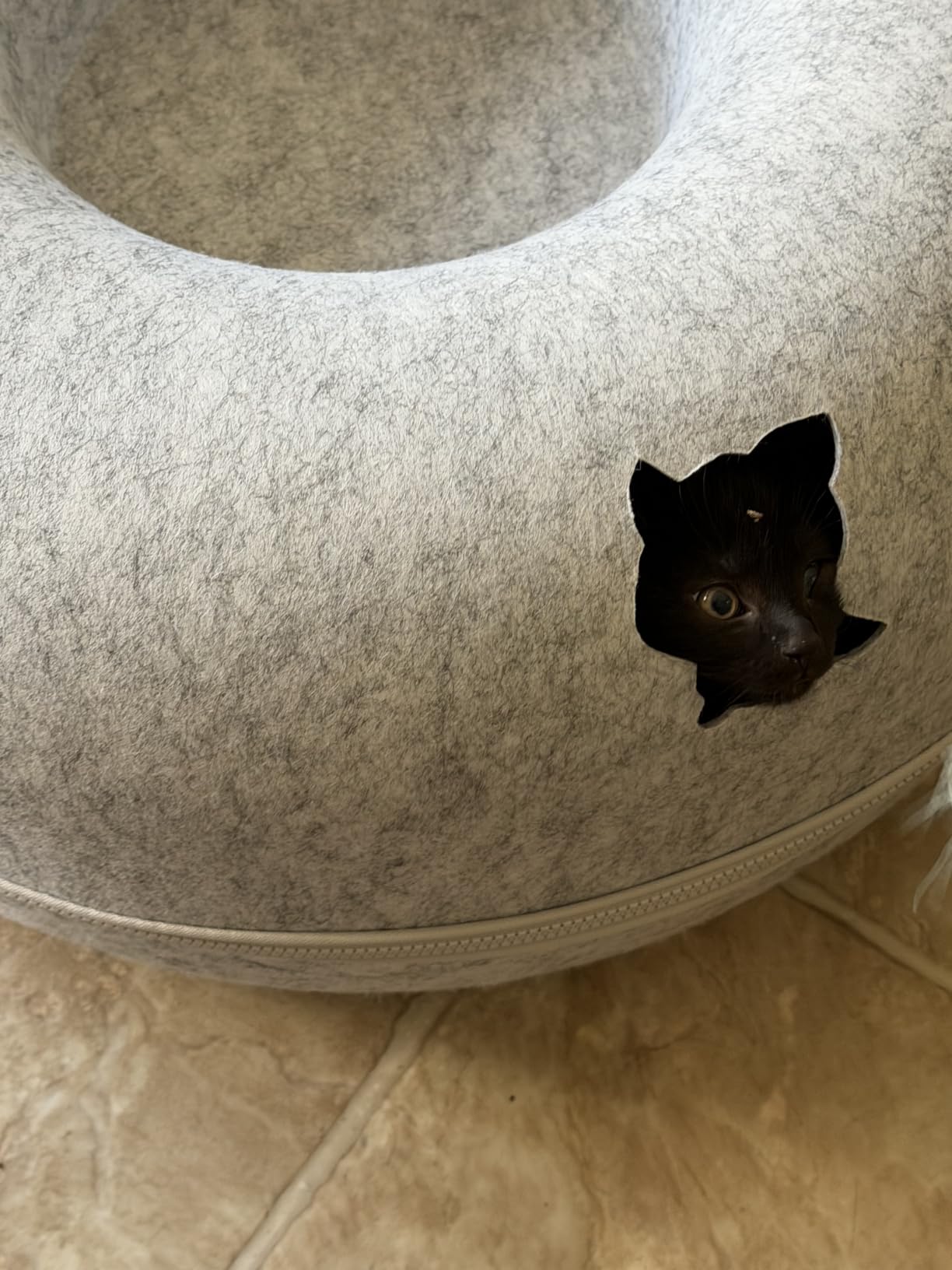 Peekaboo Cat Cave Donut for Multiple & Large Cats up to 30-45 lbs, 3-in-1 Self Warming Cat Bed, Tunnel & Scratcher for Indoor Cats, Washable & Detachable Small Dog Bed (Light Gray, Large) customer photo 1